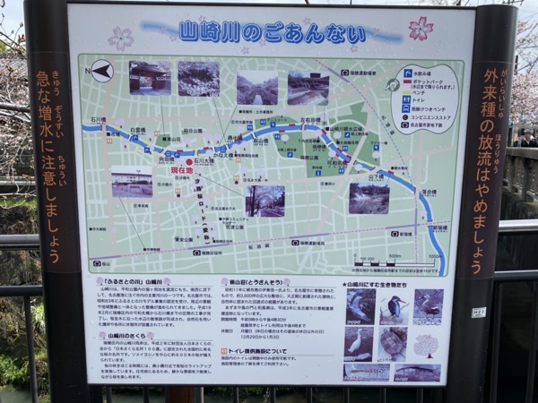 2020 100 2020 100