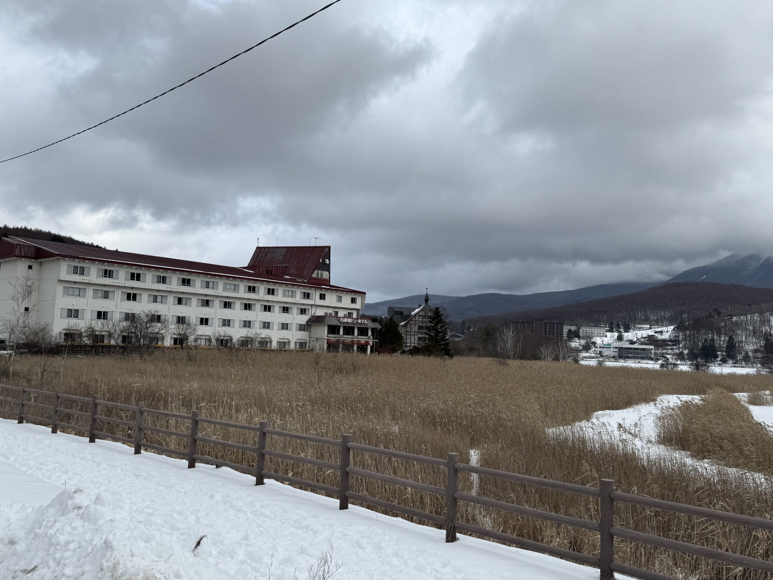 IMG 4974