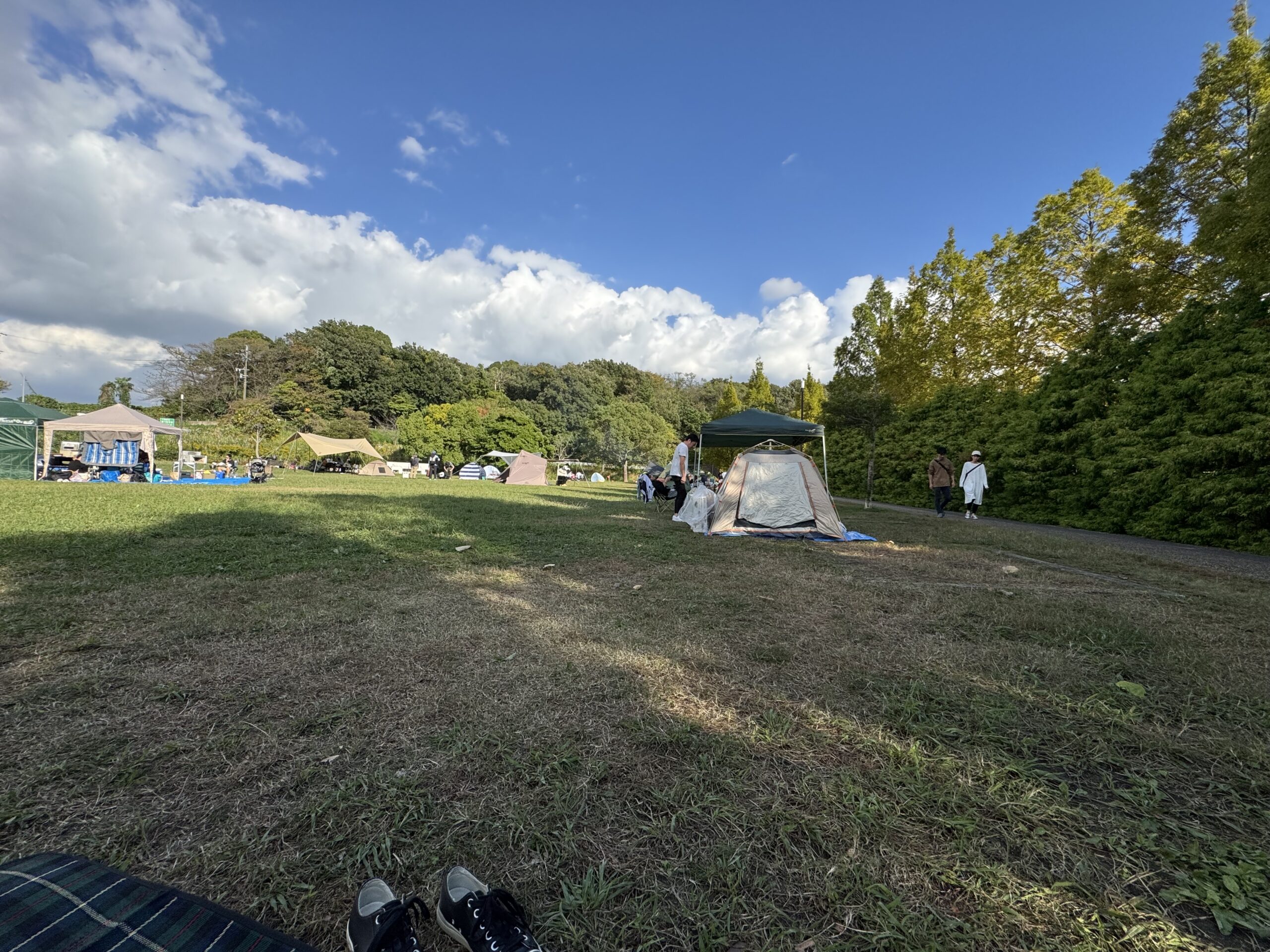 IMG 4552