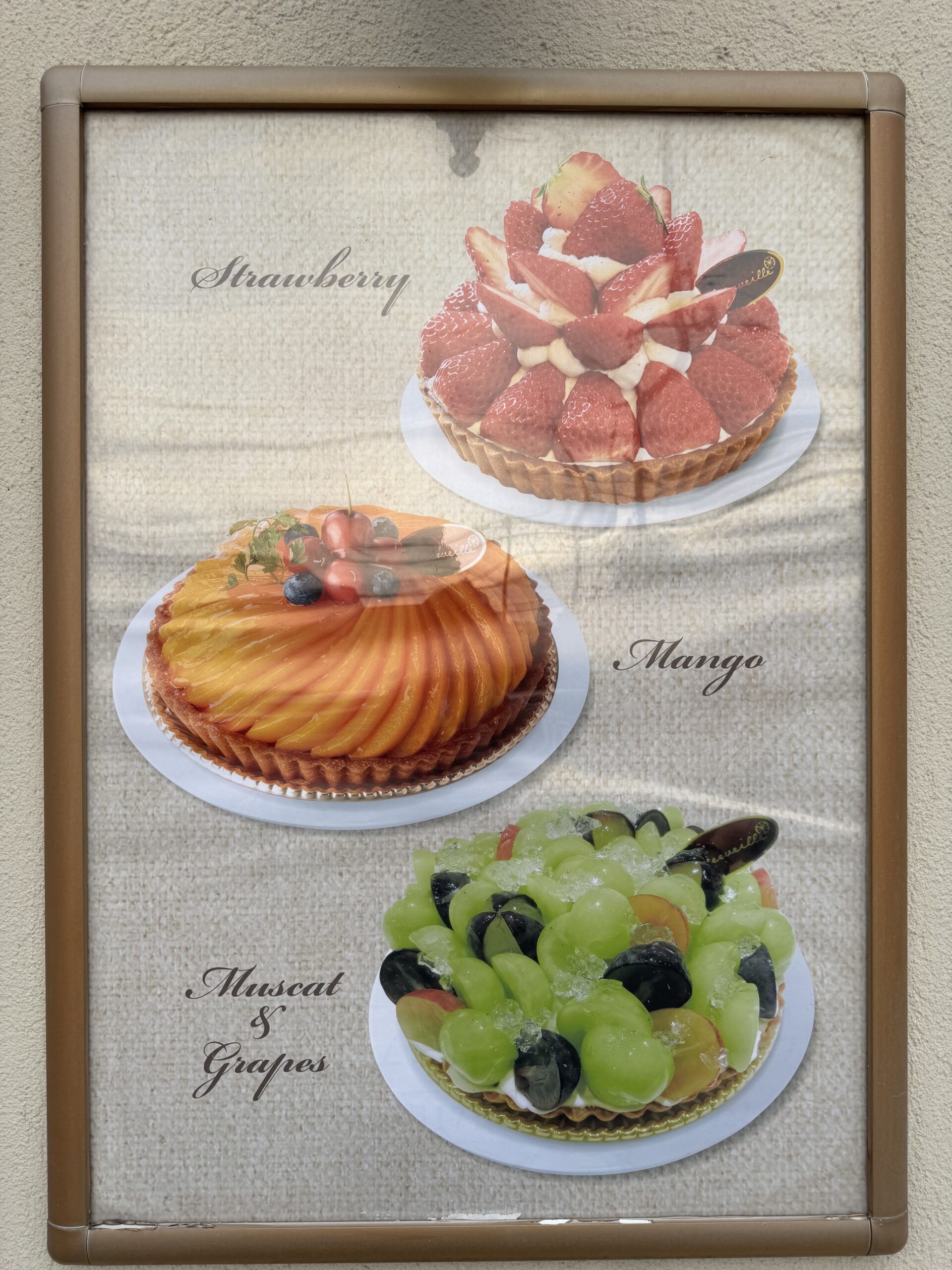 IMG_5086.jpeg IMG 5086