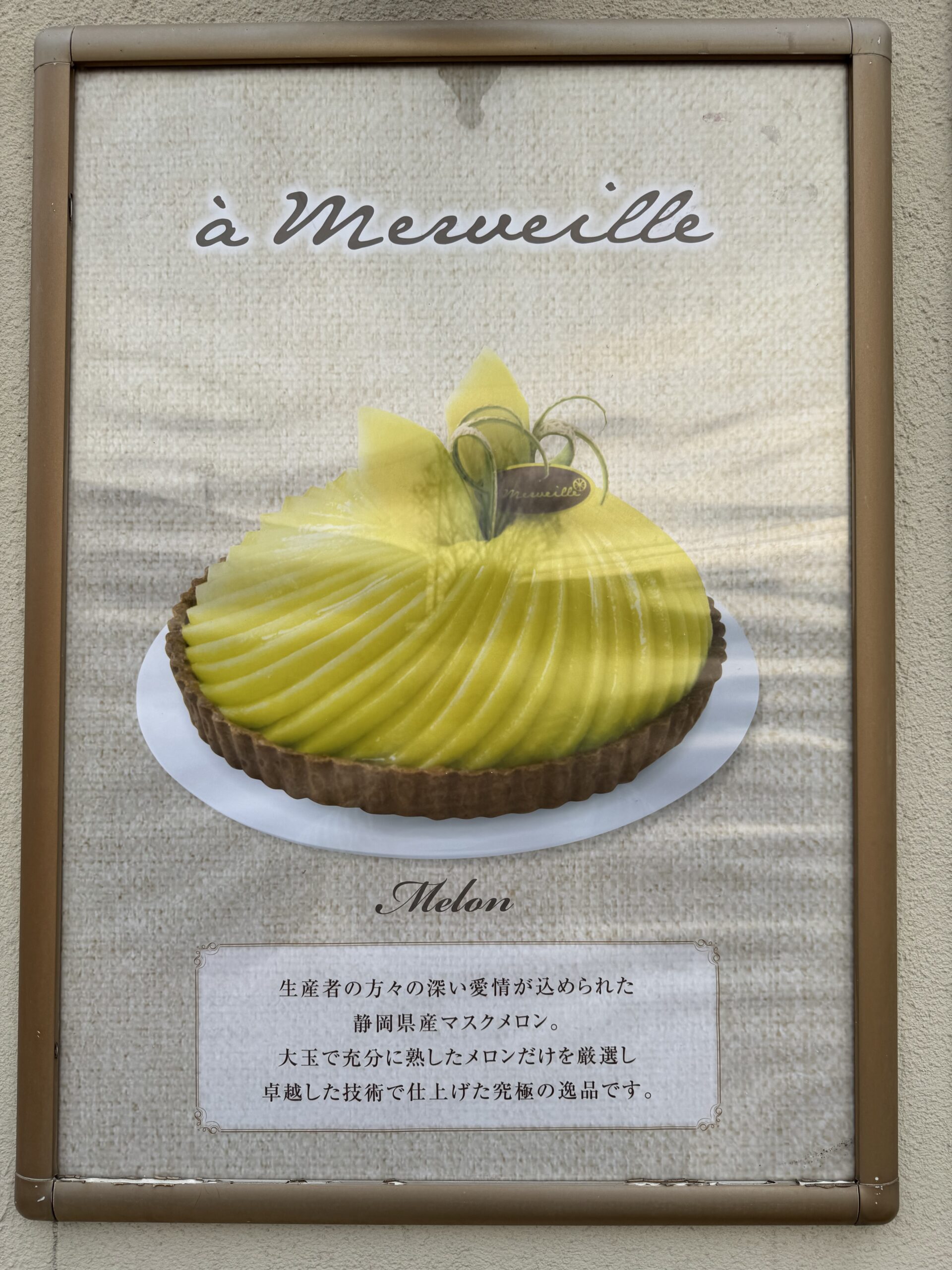 IMG_5087.jpeg IMG 5087