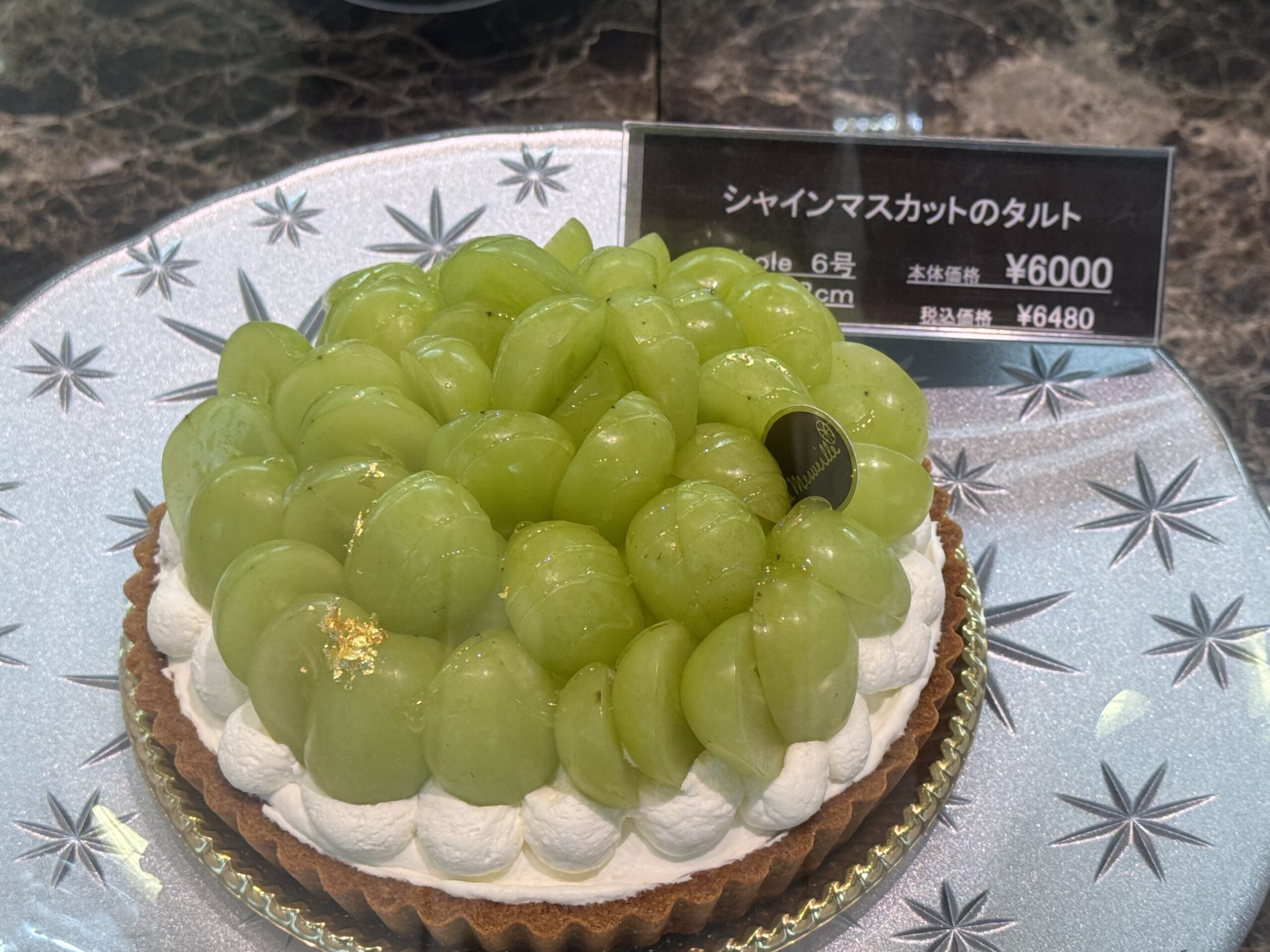 IMG_5098.jpeg IMG 5098