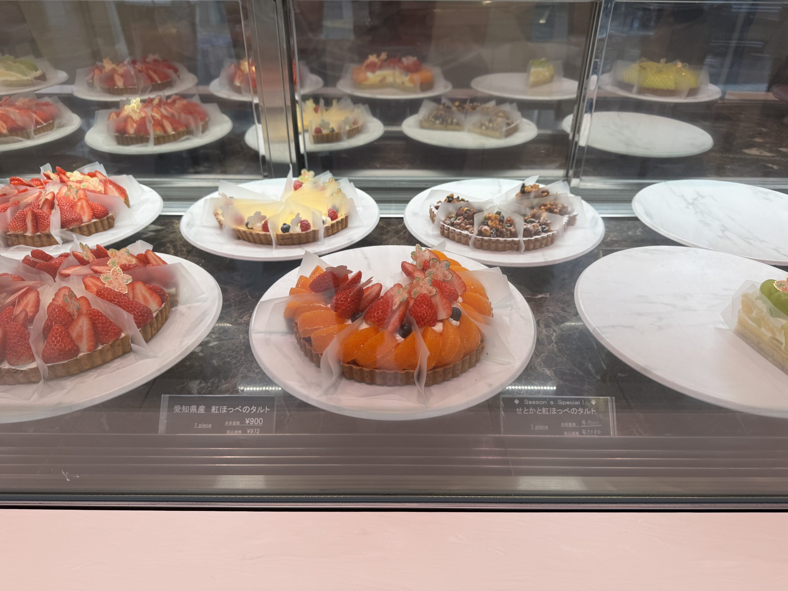 IMG_5100.jpeg IMG 5100