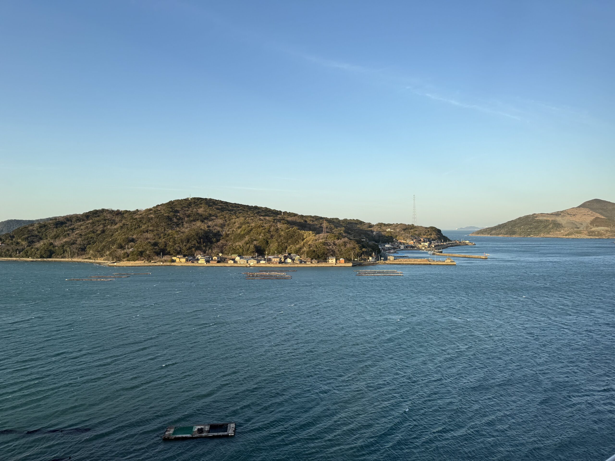 IMG_5509.jpeg IMG 5509