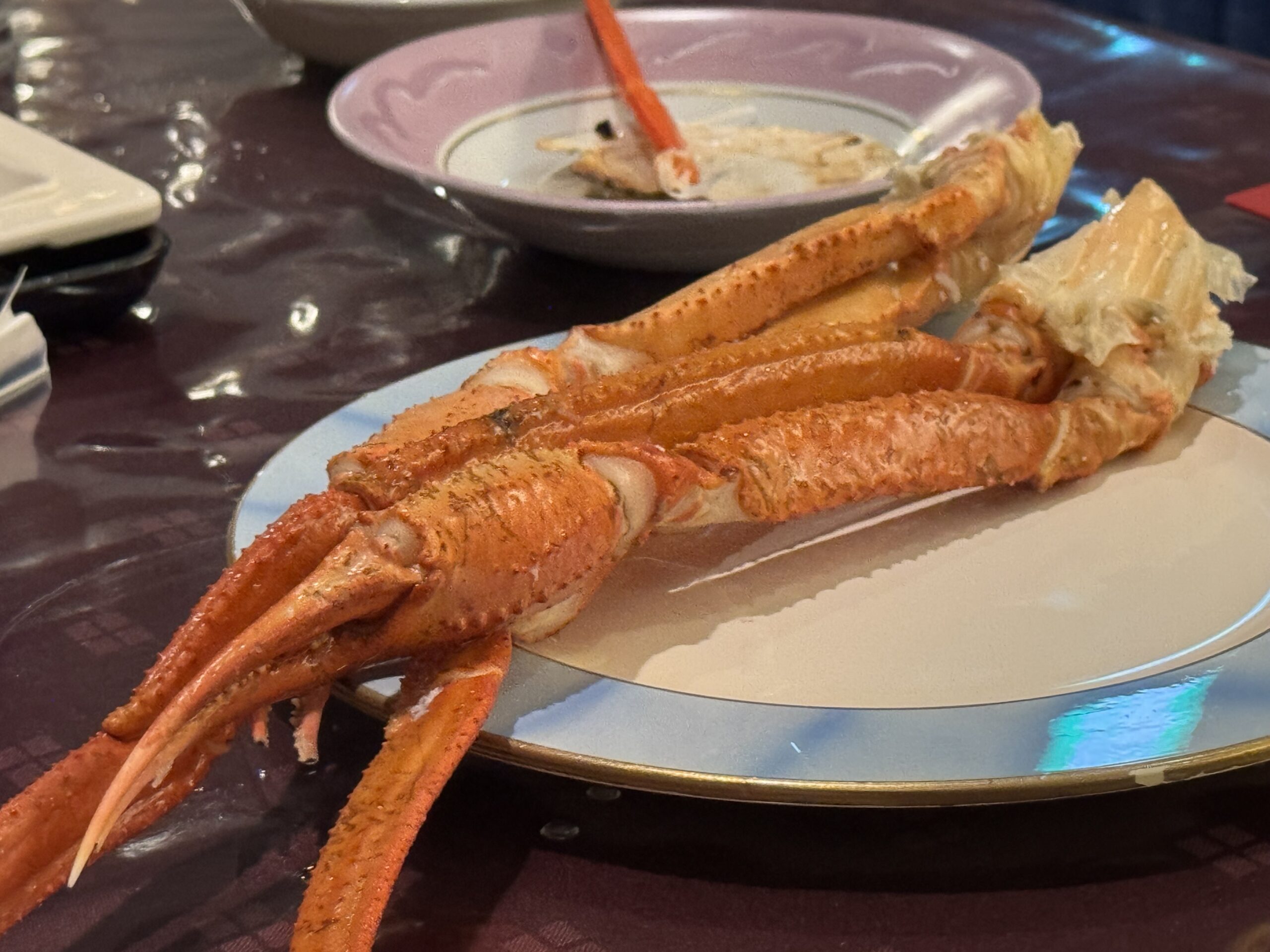 IMG_5523.jpeg IMG 5523