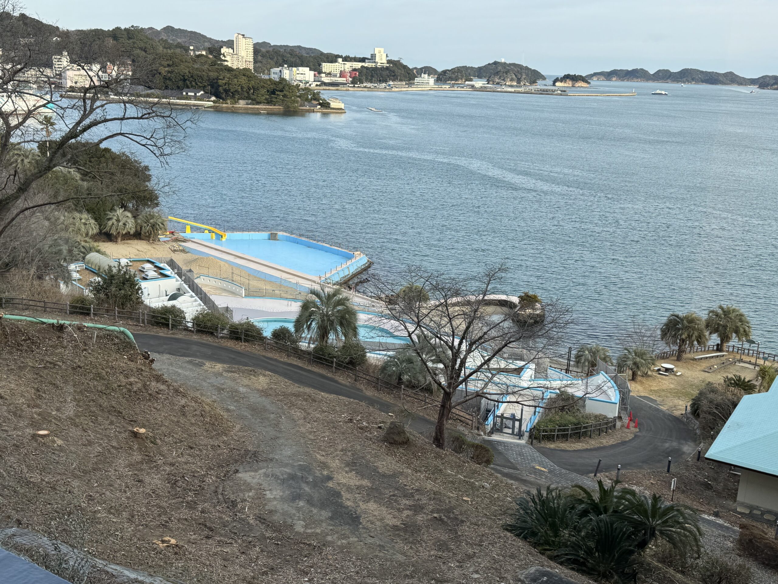 IMG_5527.jpeg IMG 5527