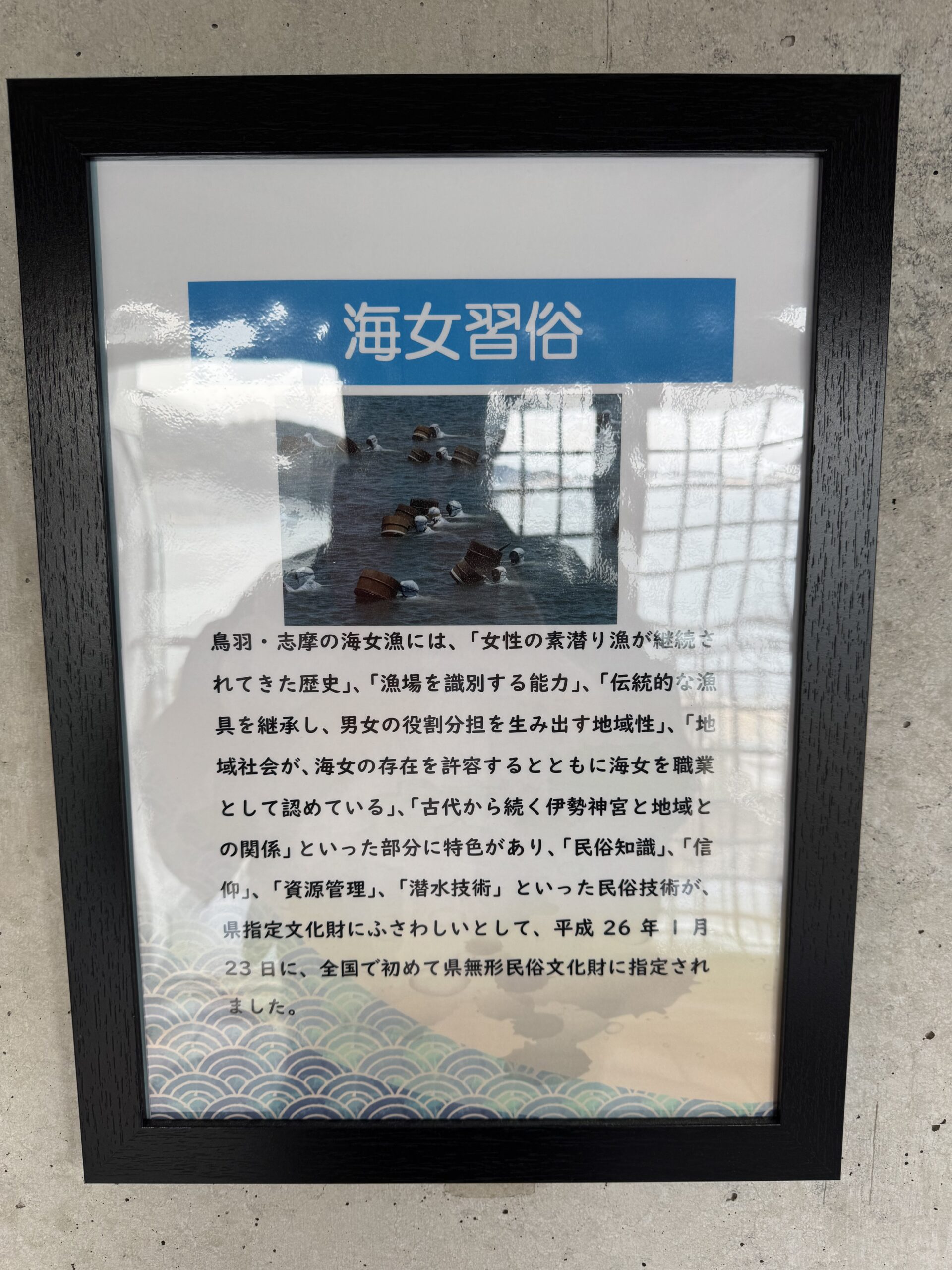 IMG_5529.jpeg IMG 5529