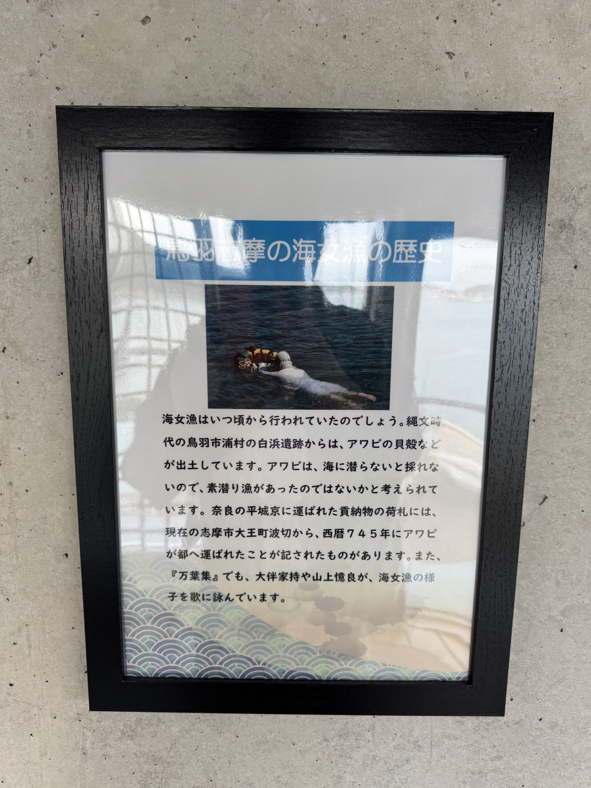 IMG_5530.jpeg IMG 5530