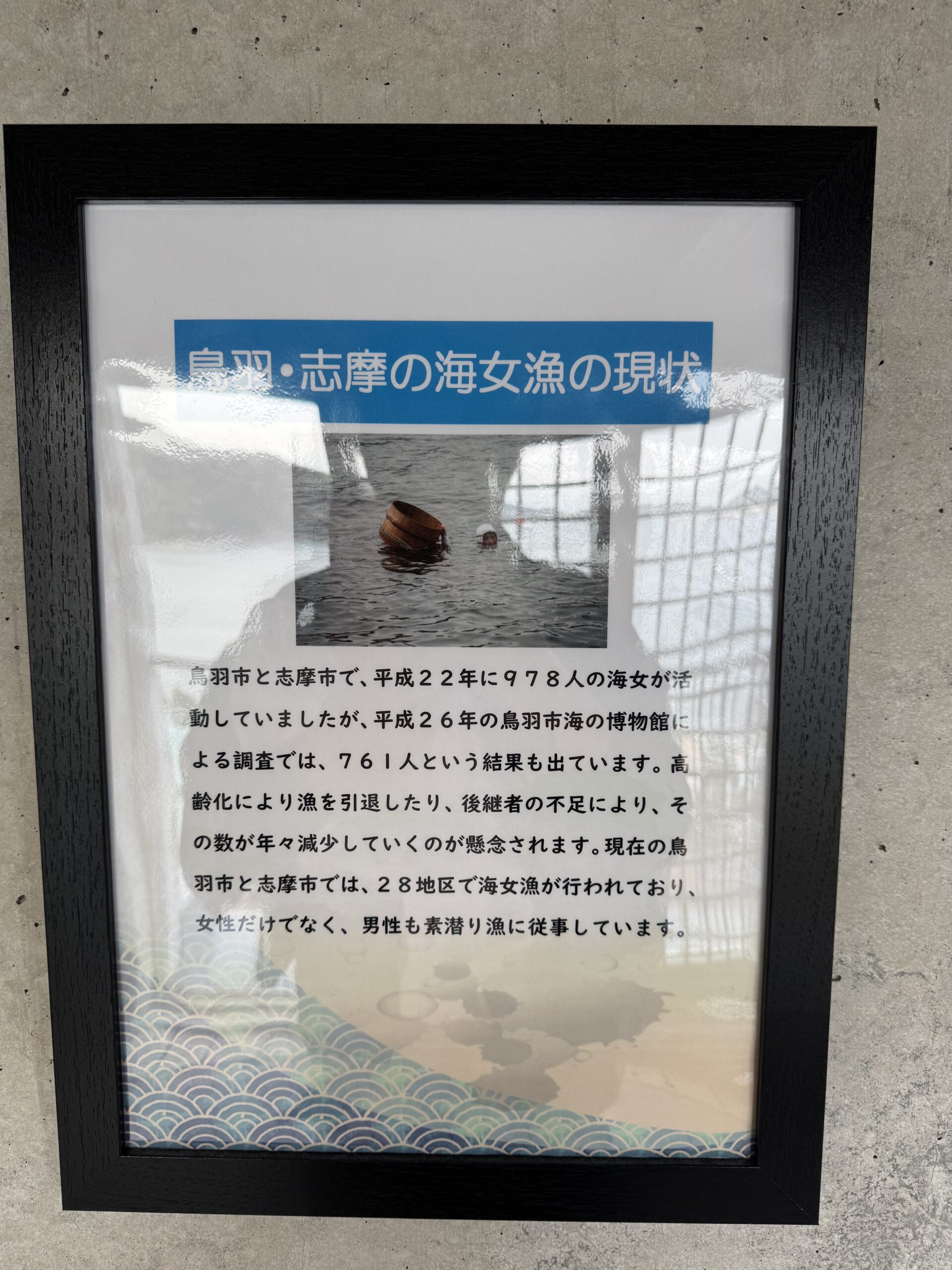 IMG_5531.jpeg IMG 5531