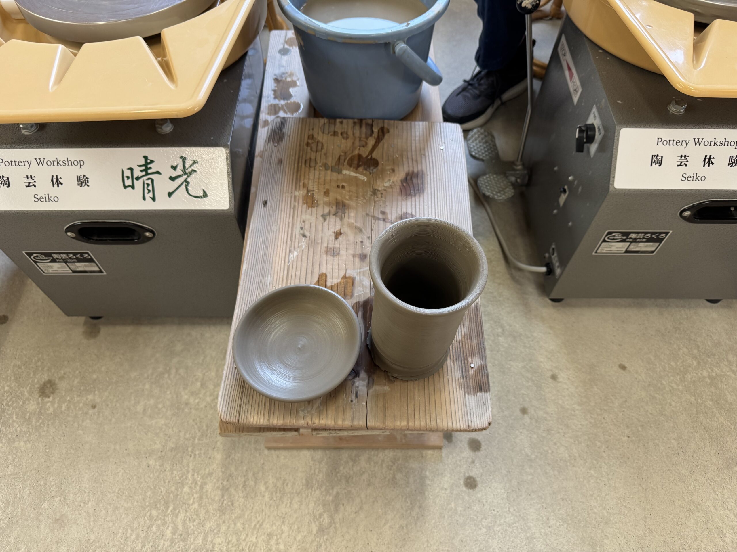 IMG_6199.jpeg IMG 6199