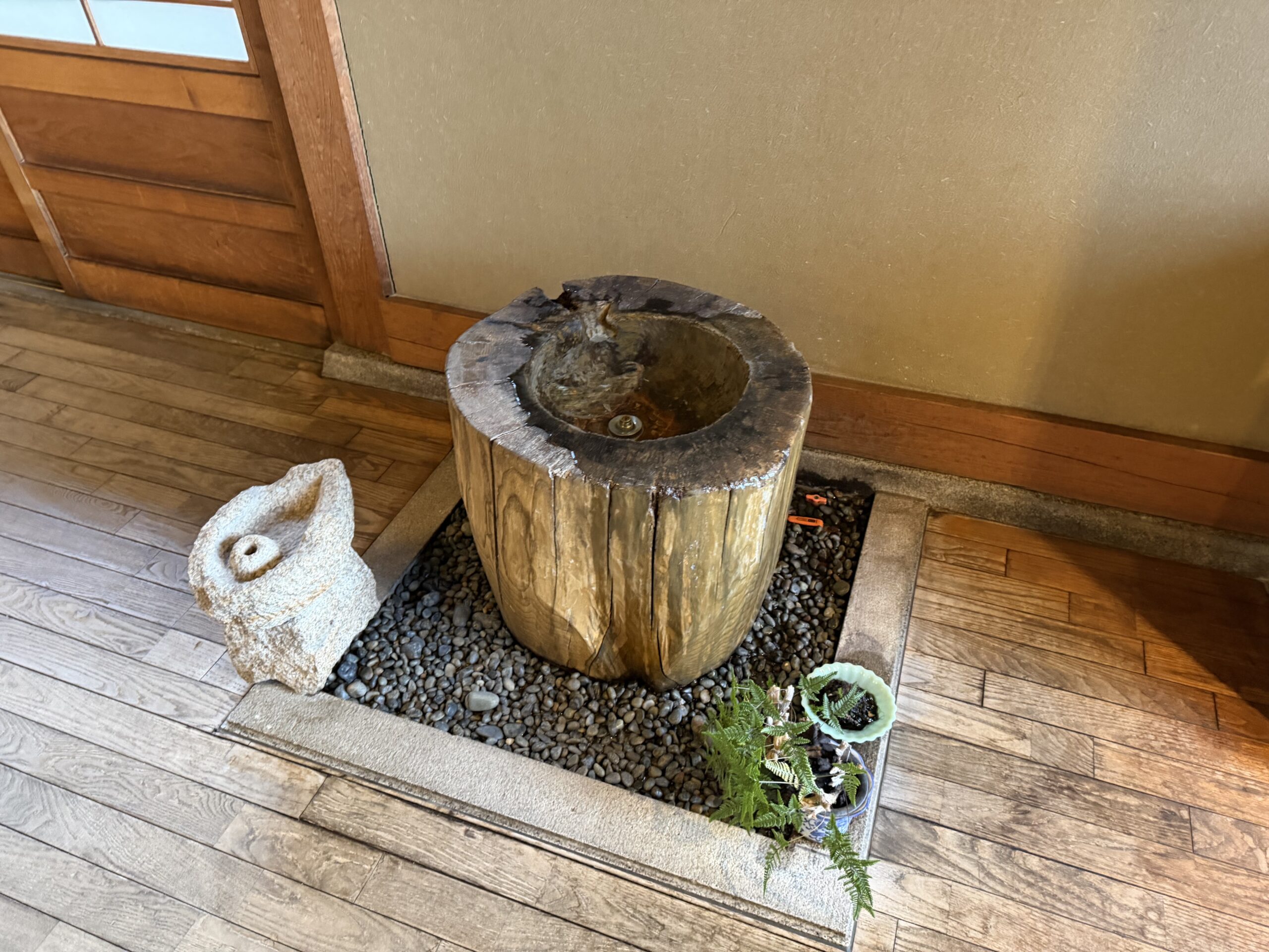 IMG_0661.jpeg IMG 0661