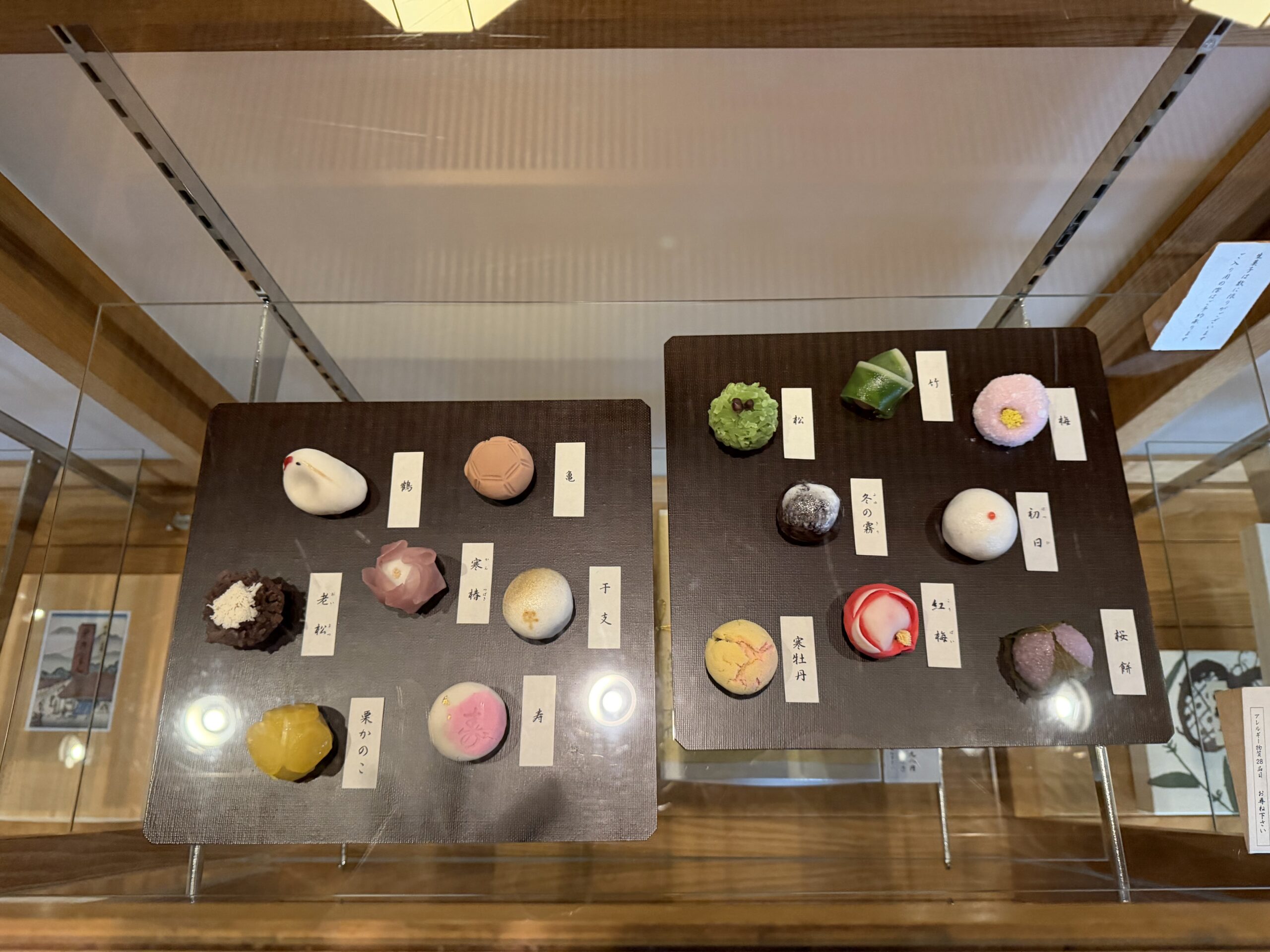 IMG_0667.jpeg IMG 0667