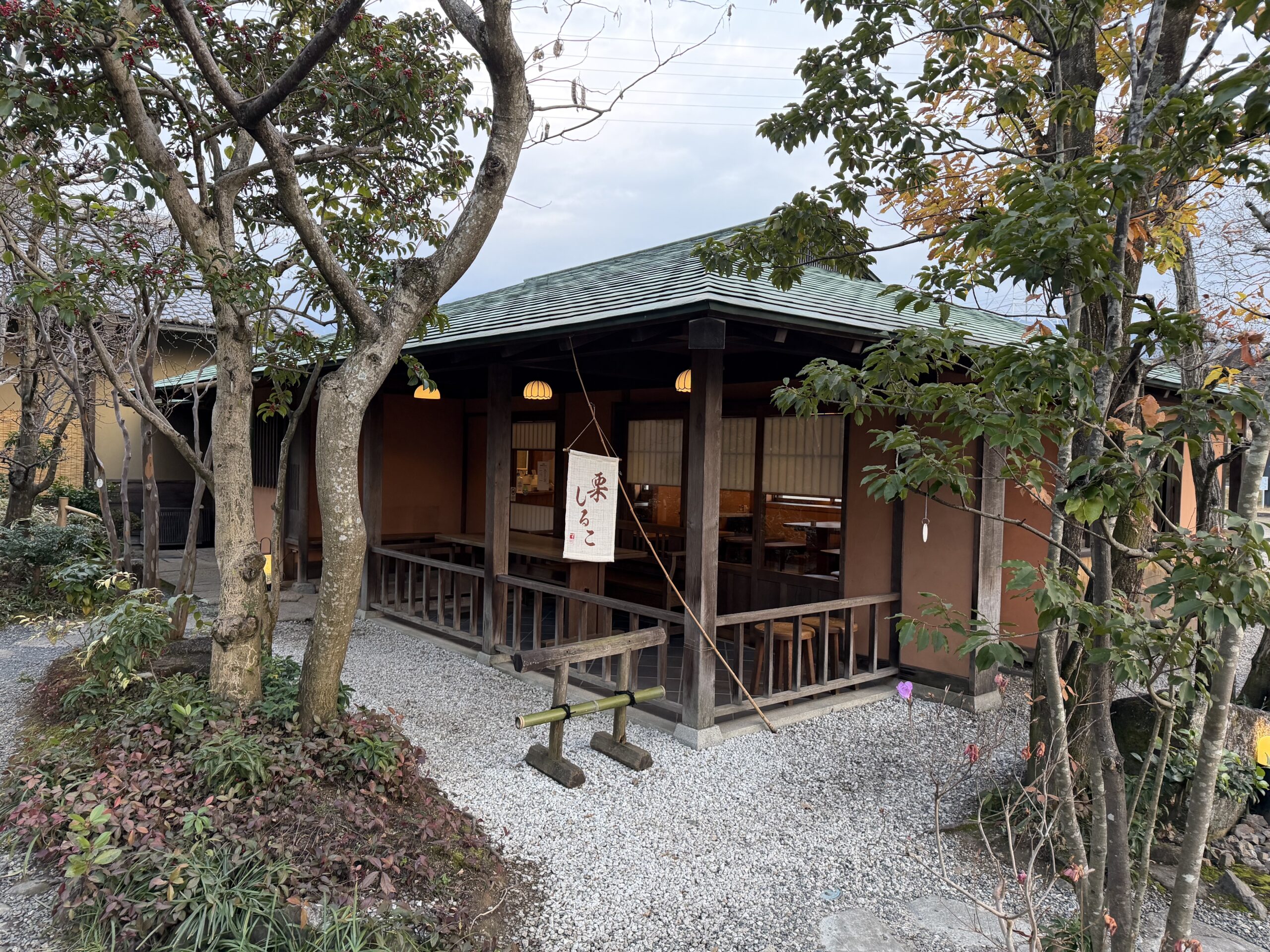 IMG_0672.jpeg IMG 0672