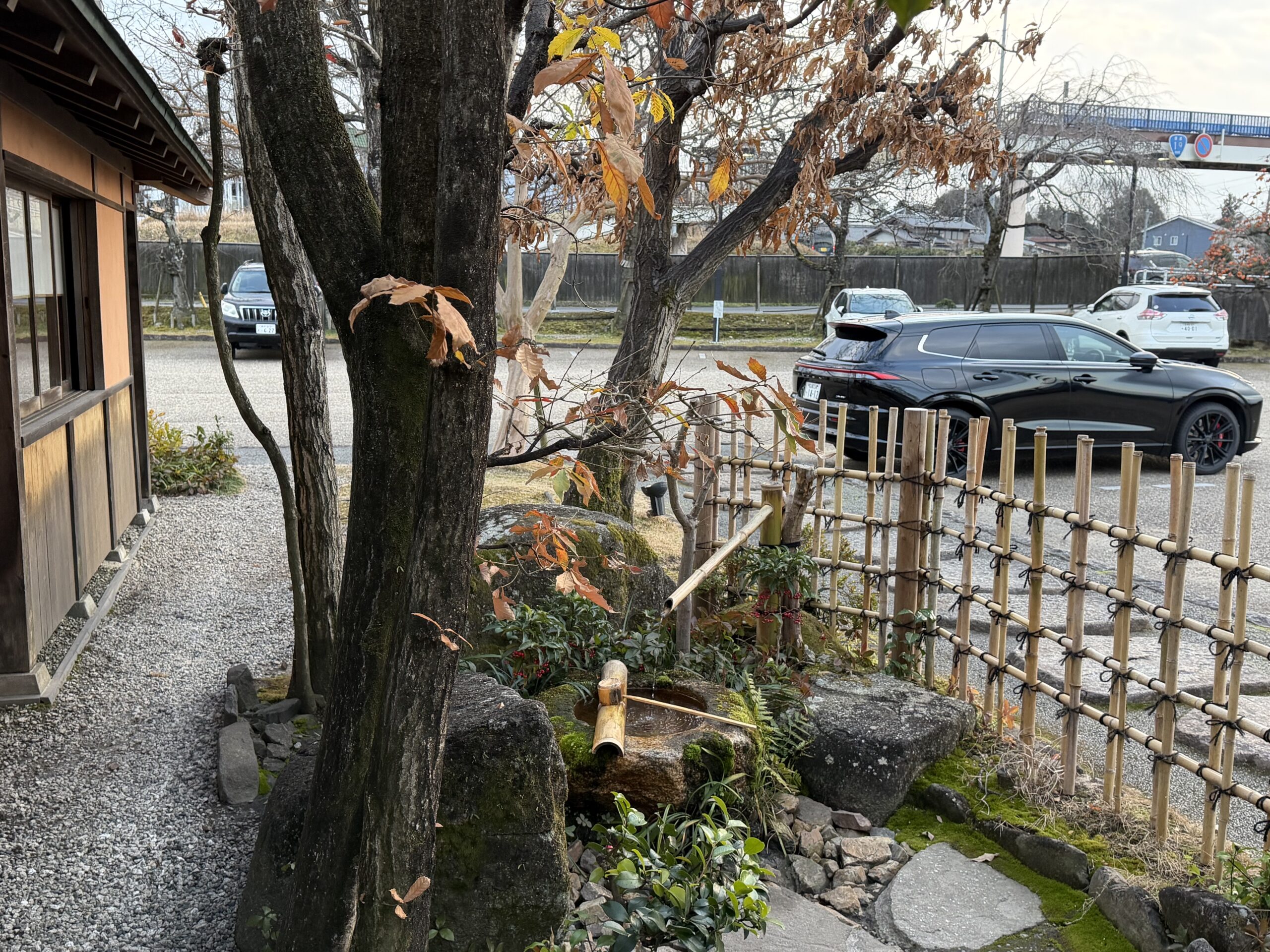 IMG_0673.jpeg IMG 0673