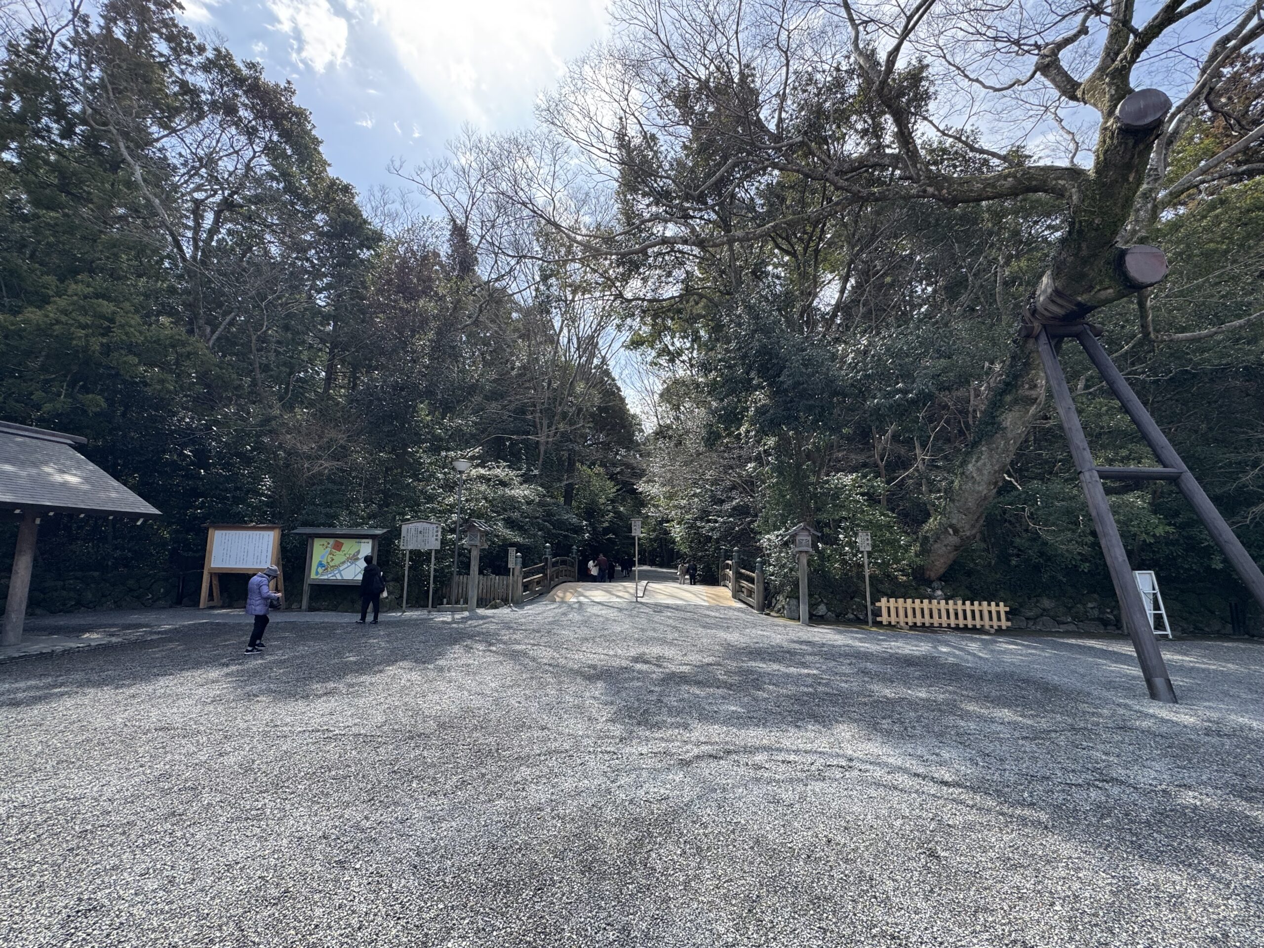 IMG_5574.jpeg IMG 5574