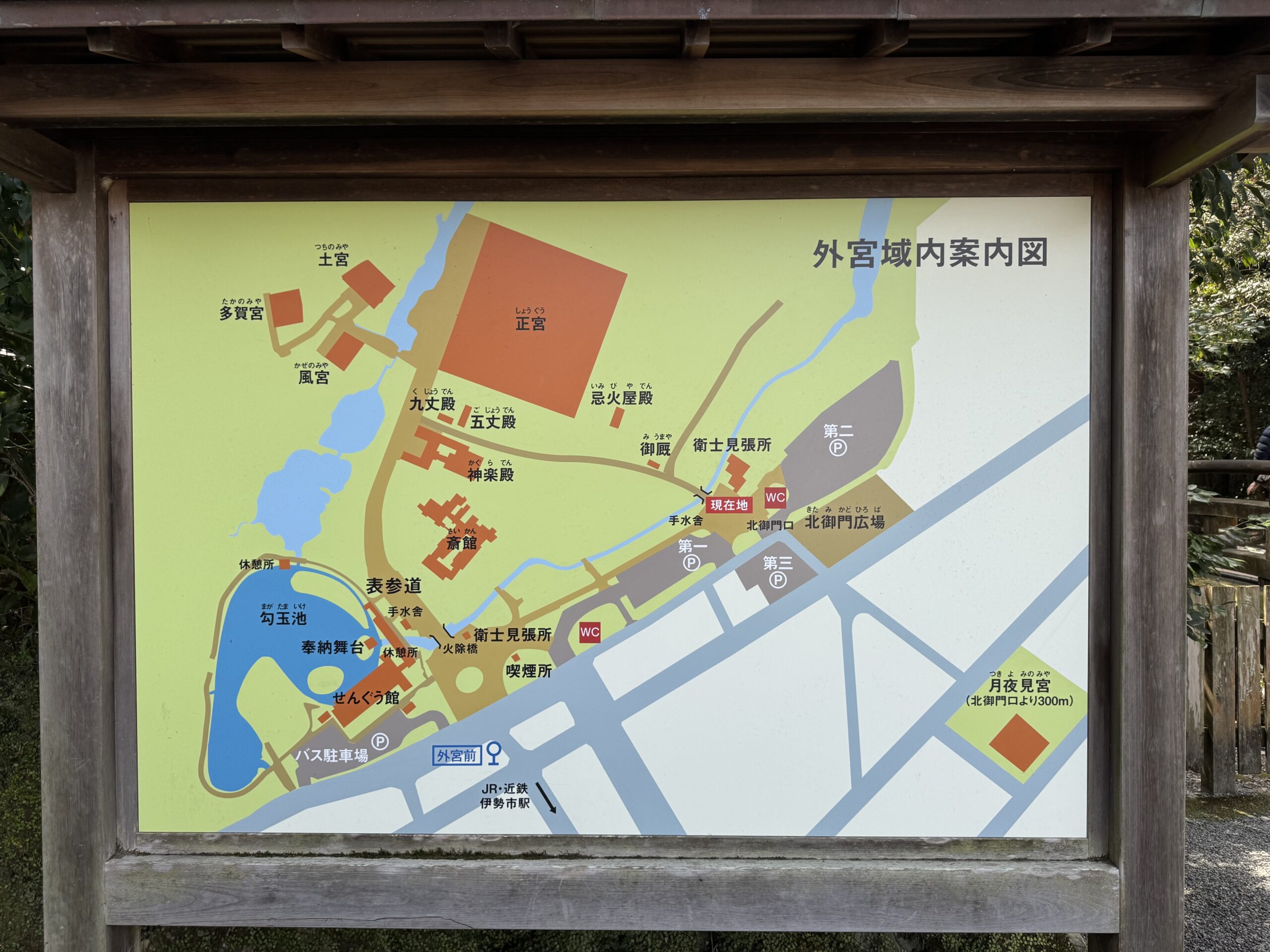 IMG_5575.jpeg IMG 5575