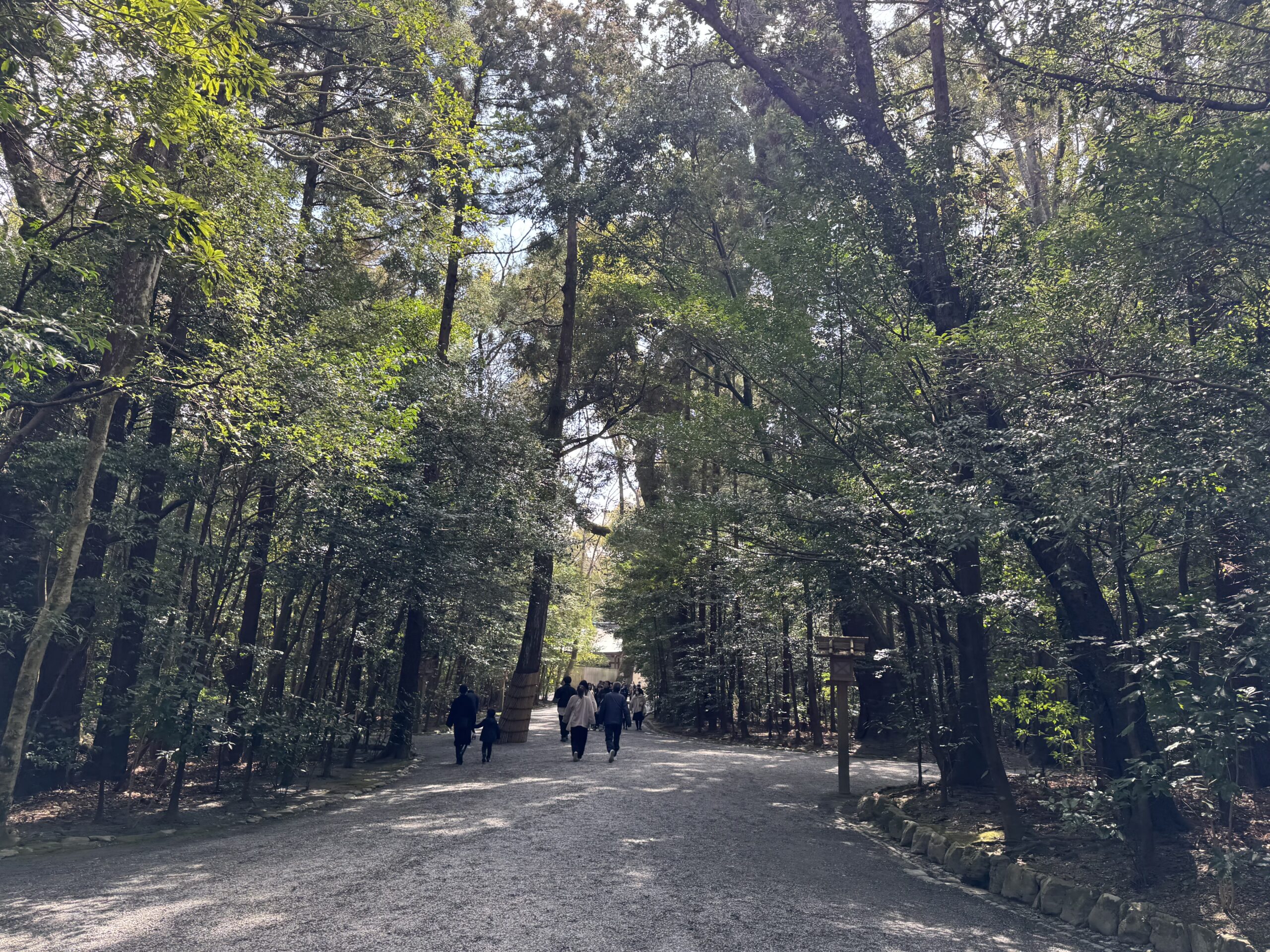 IMG_5577.jpeg IMG 5577