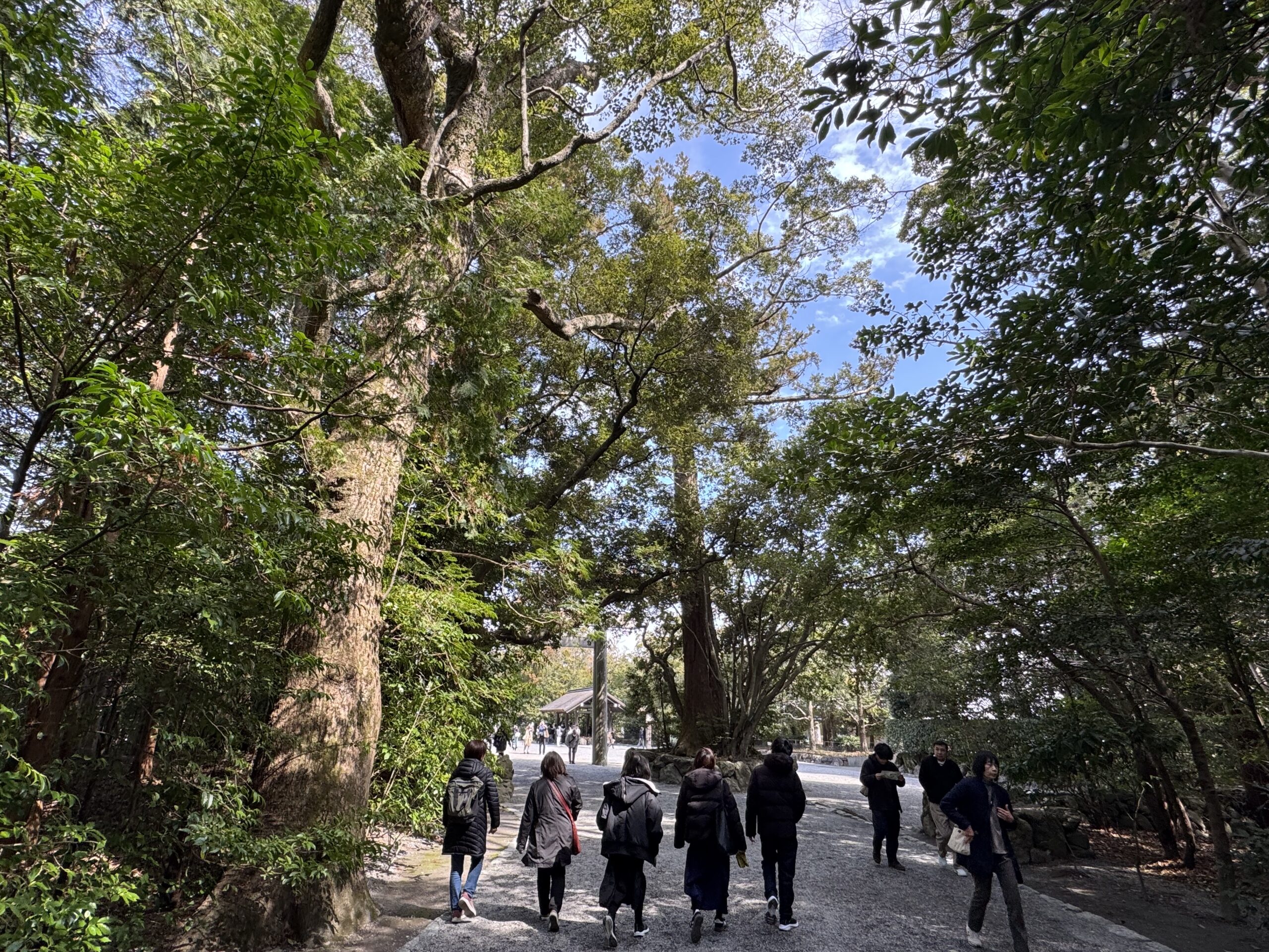 IMG_5581.jpeg IMG 5581