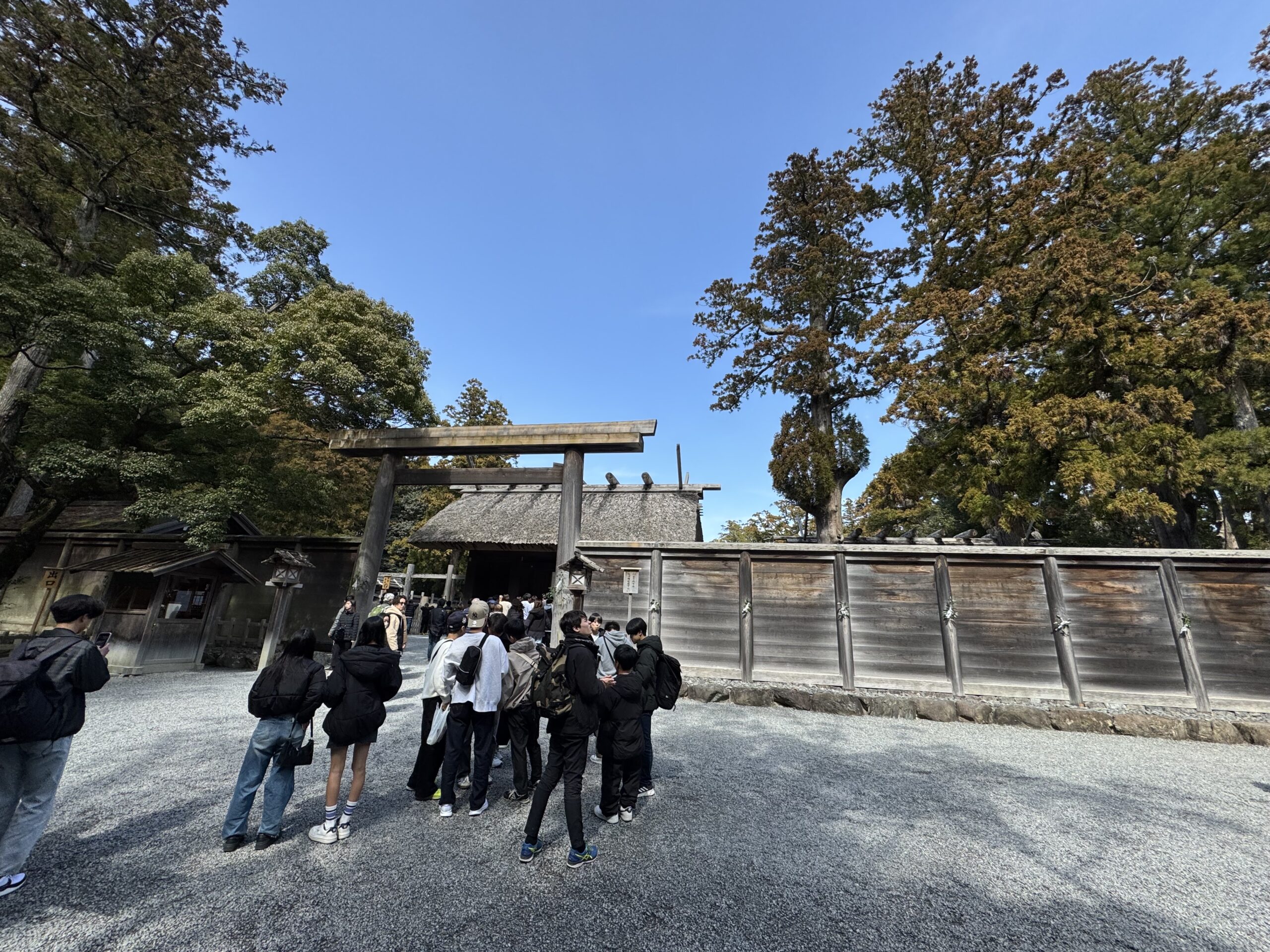 IMG_5586.jpeg IMG 5586