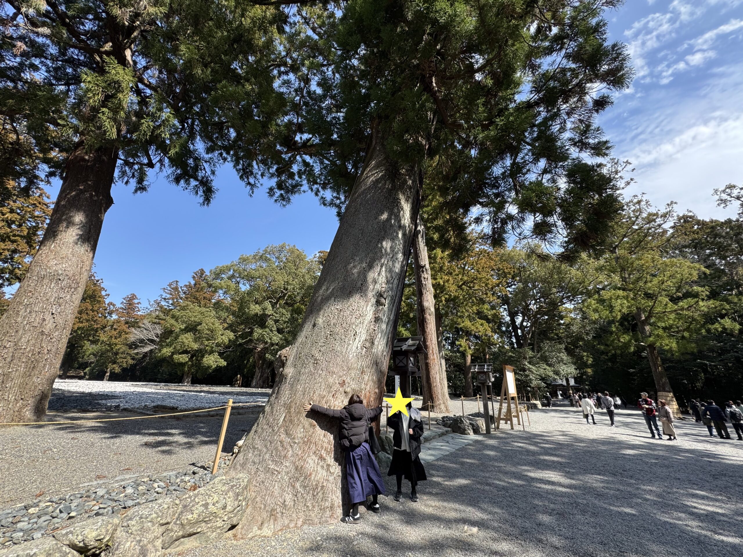 IMG_5587.jpeg IMG 5587