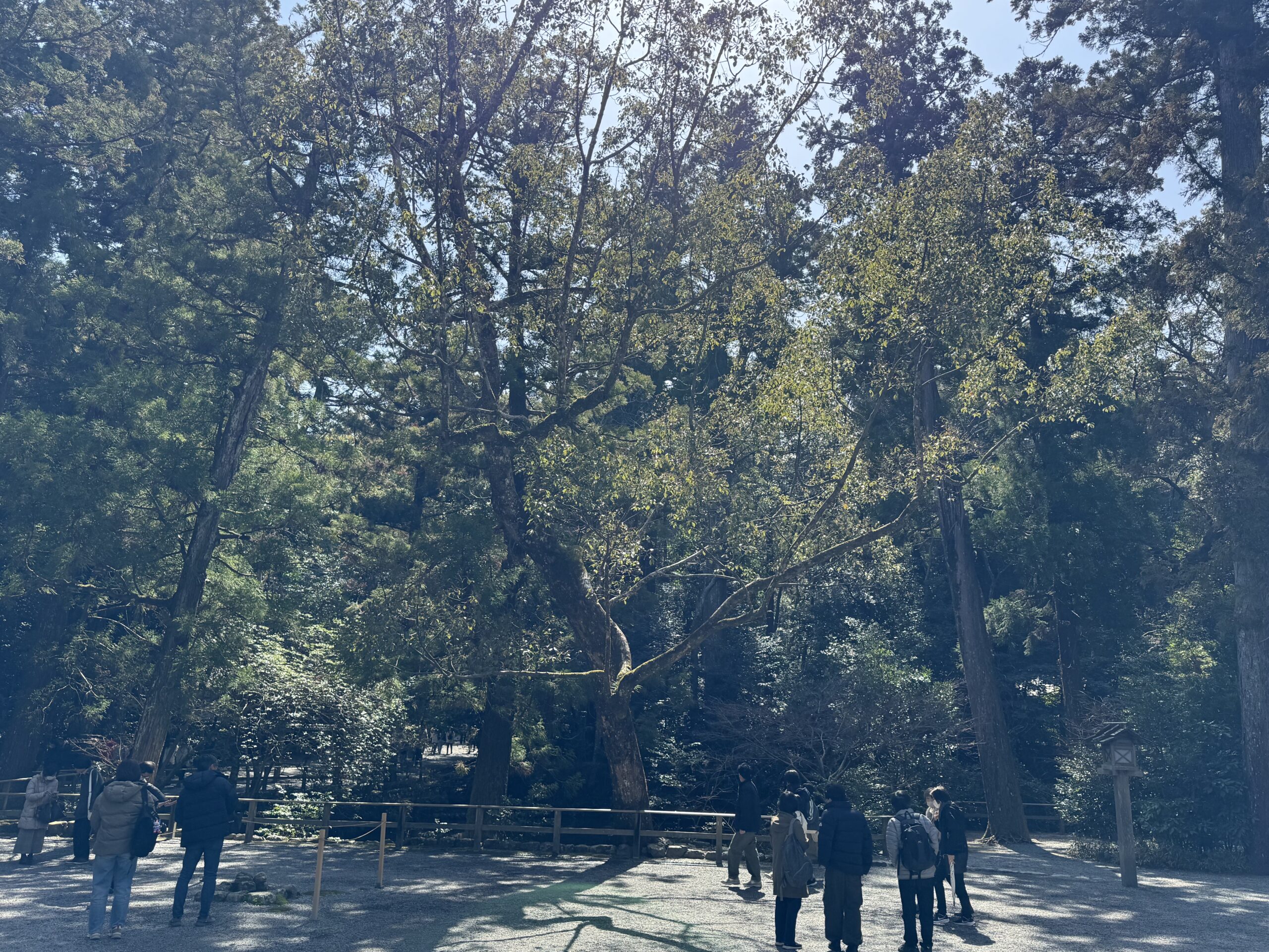 IMG_5588.jpeg IMG 5588