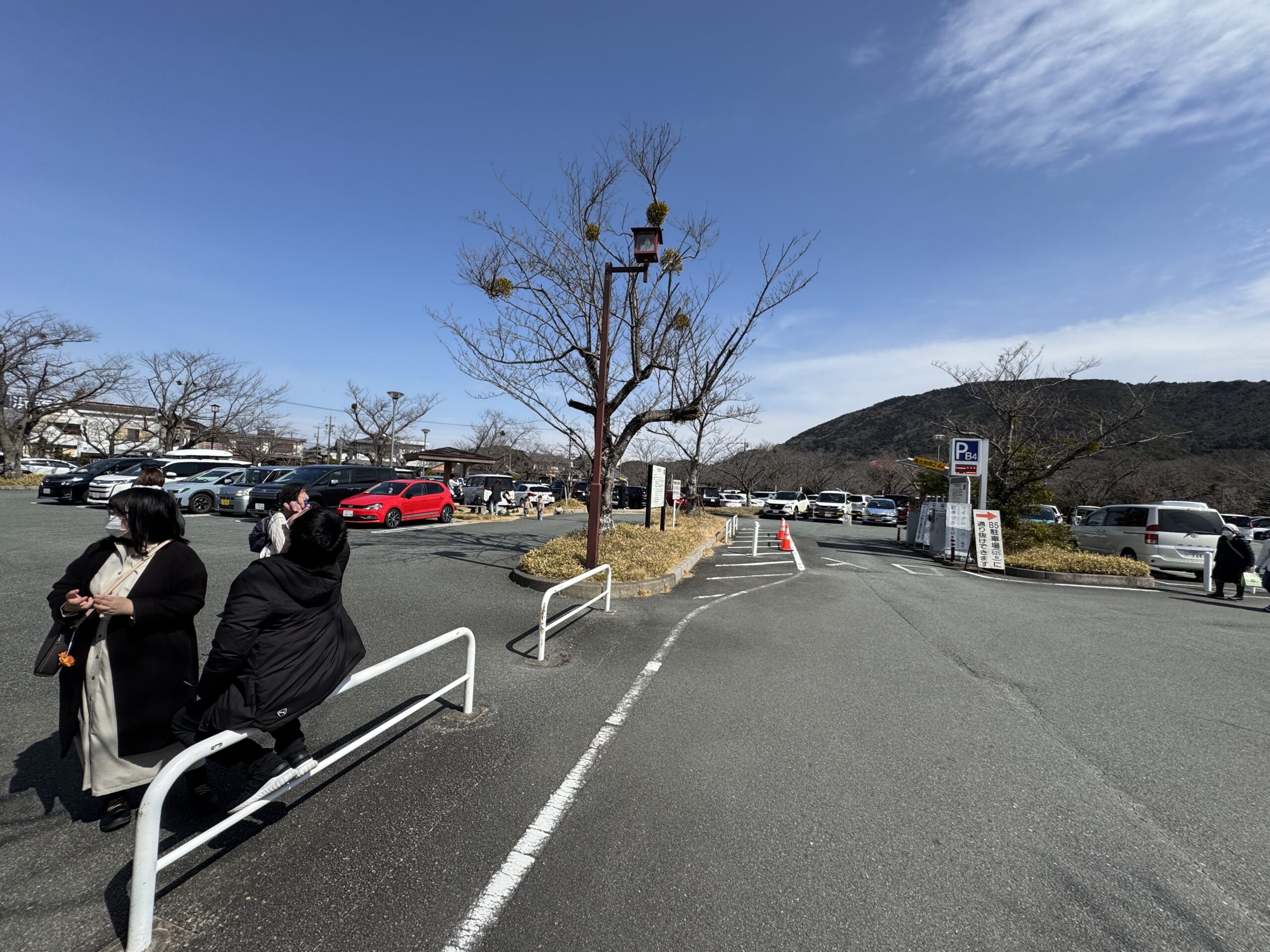 IMG_5589.jpeg IMG 5589