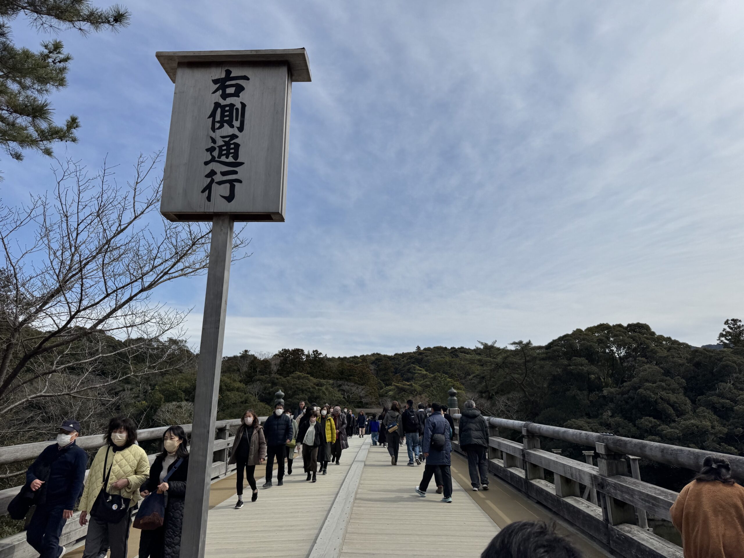 IMG_5611.jpeg IMG 5611