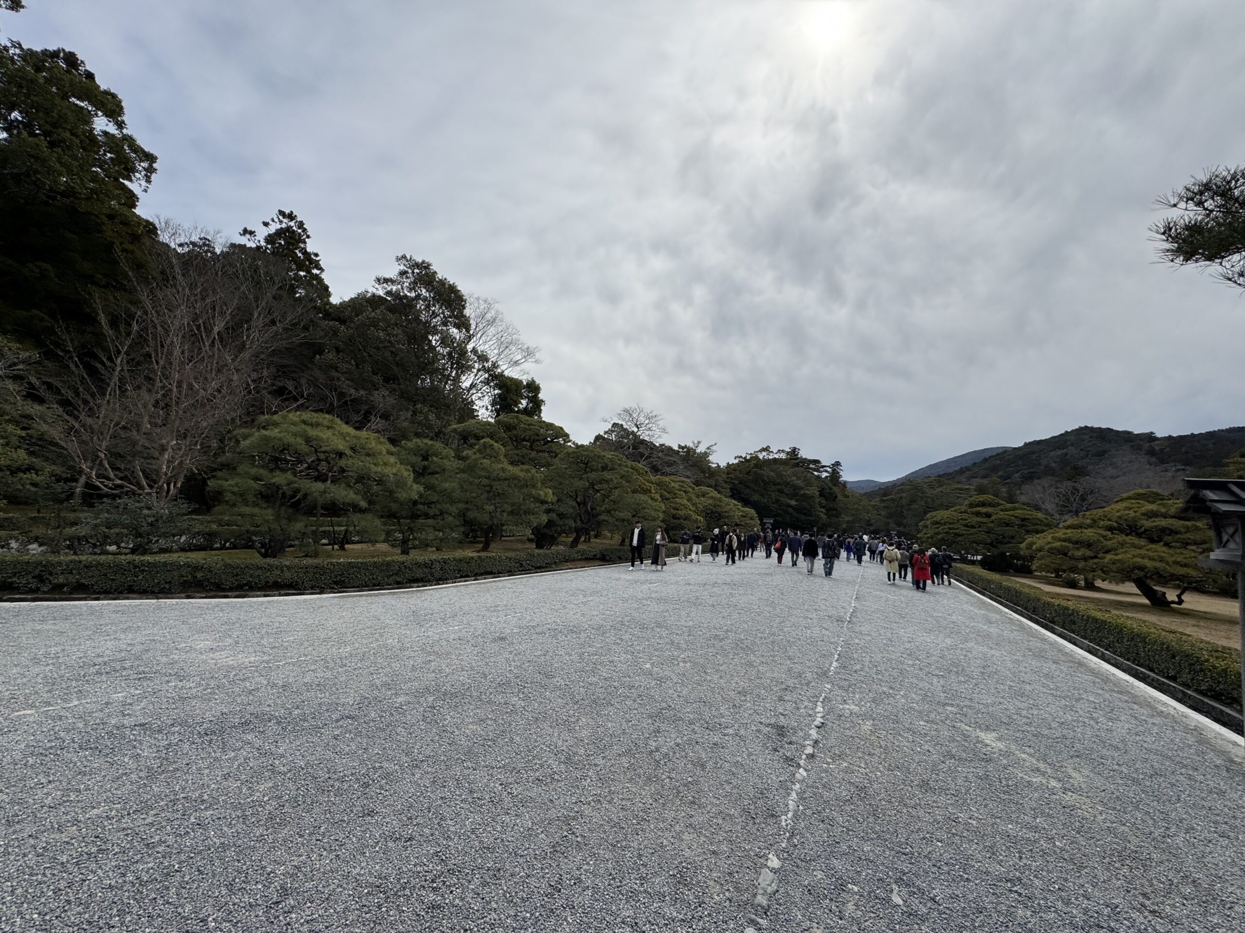 IMG_5613.jpeg IMG 5613