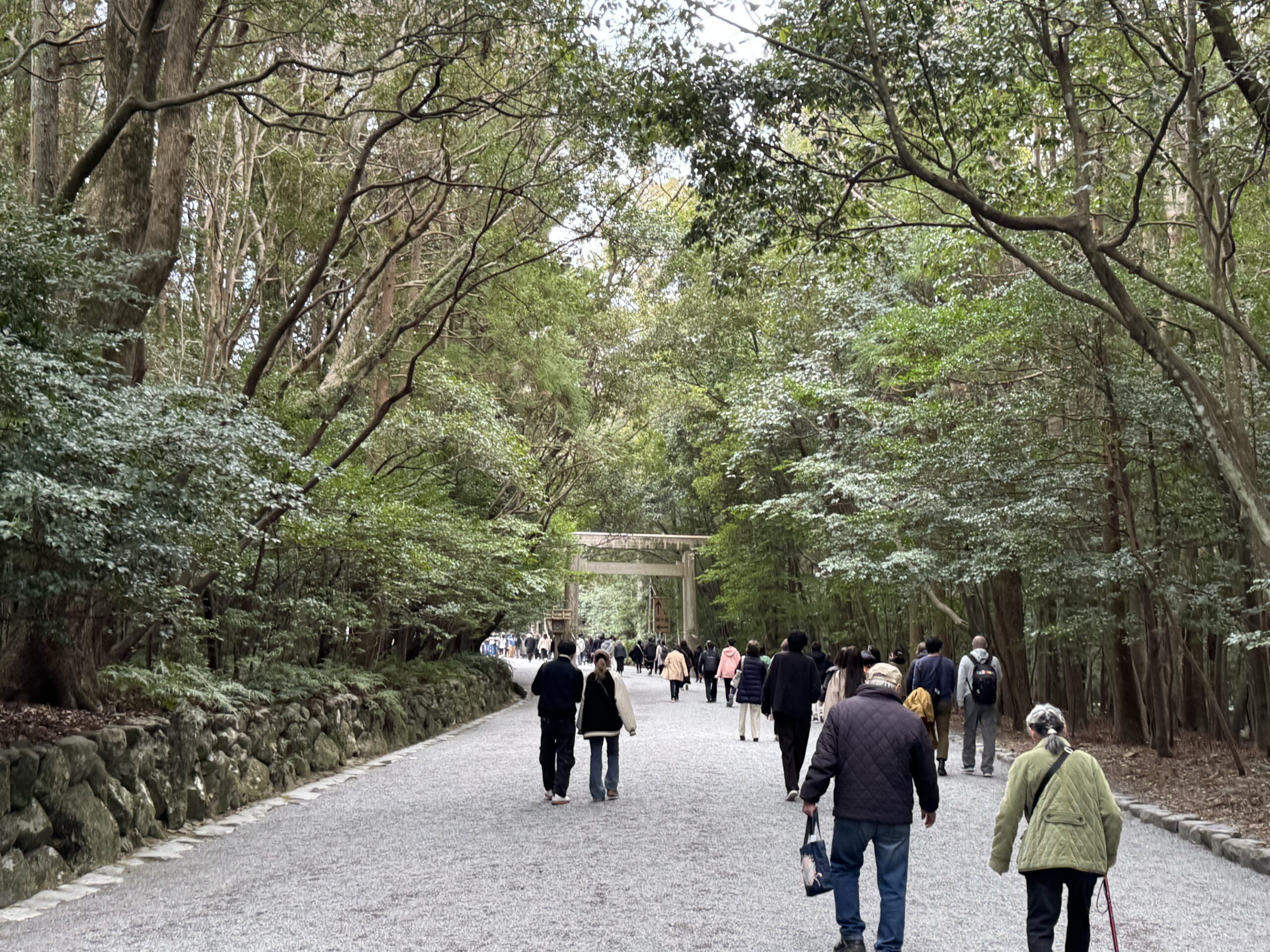 IMG_5616.jpeg IMG 5616