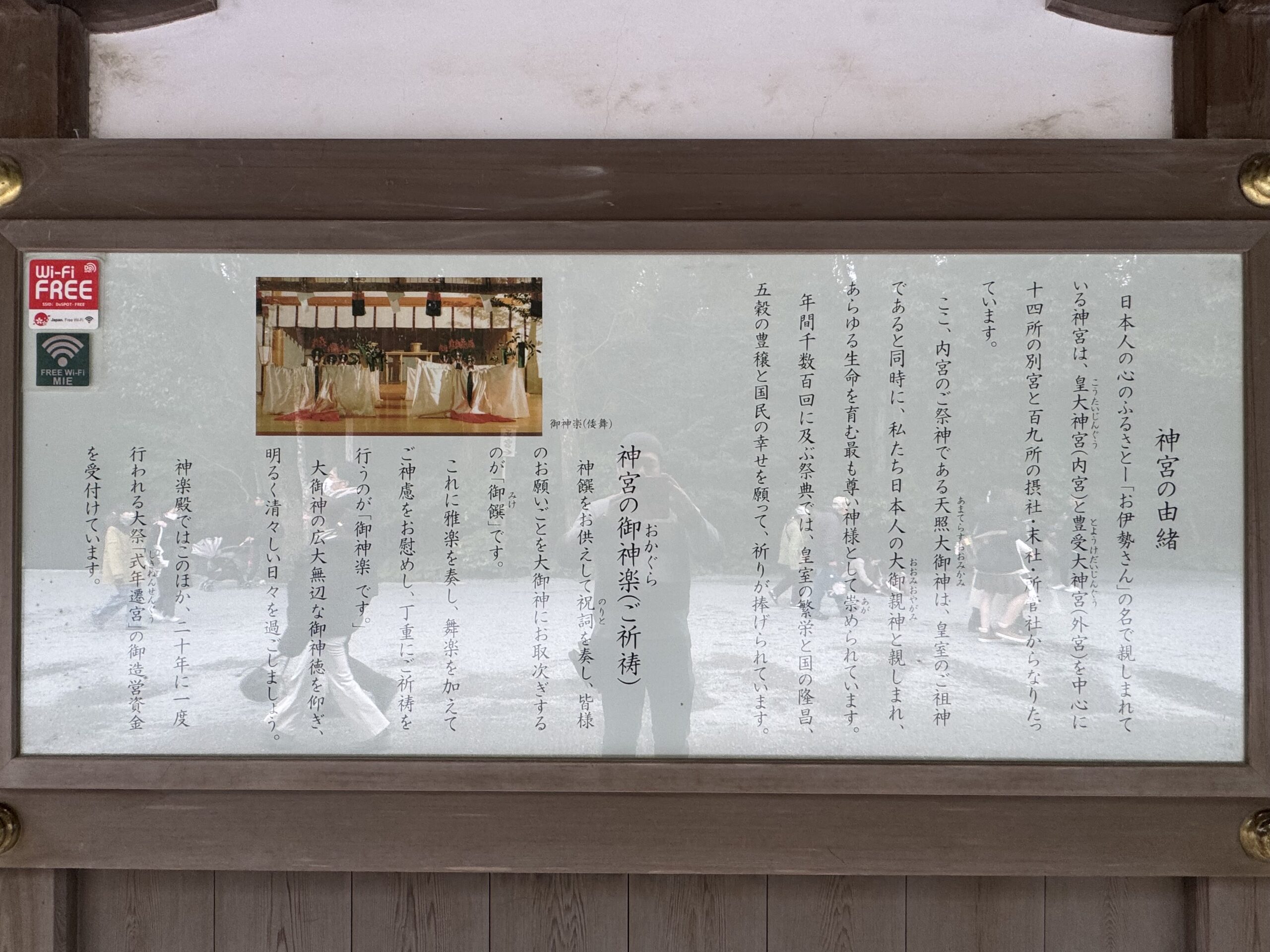 IMG_5618.jpeg IMG 5618