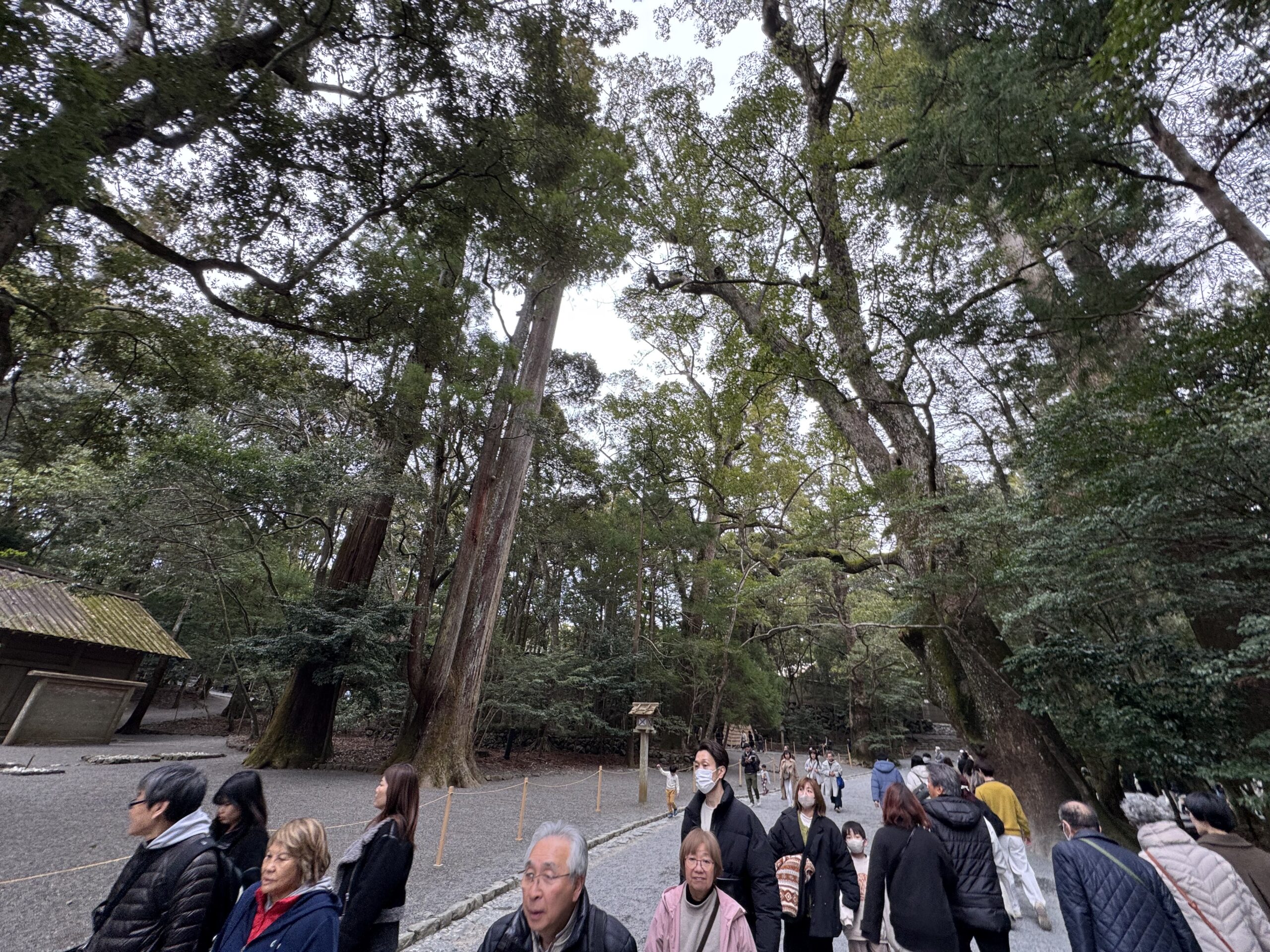 IMG_5621.jpeg IMG 5621