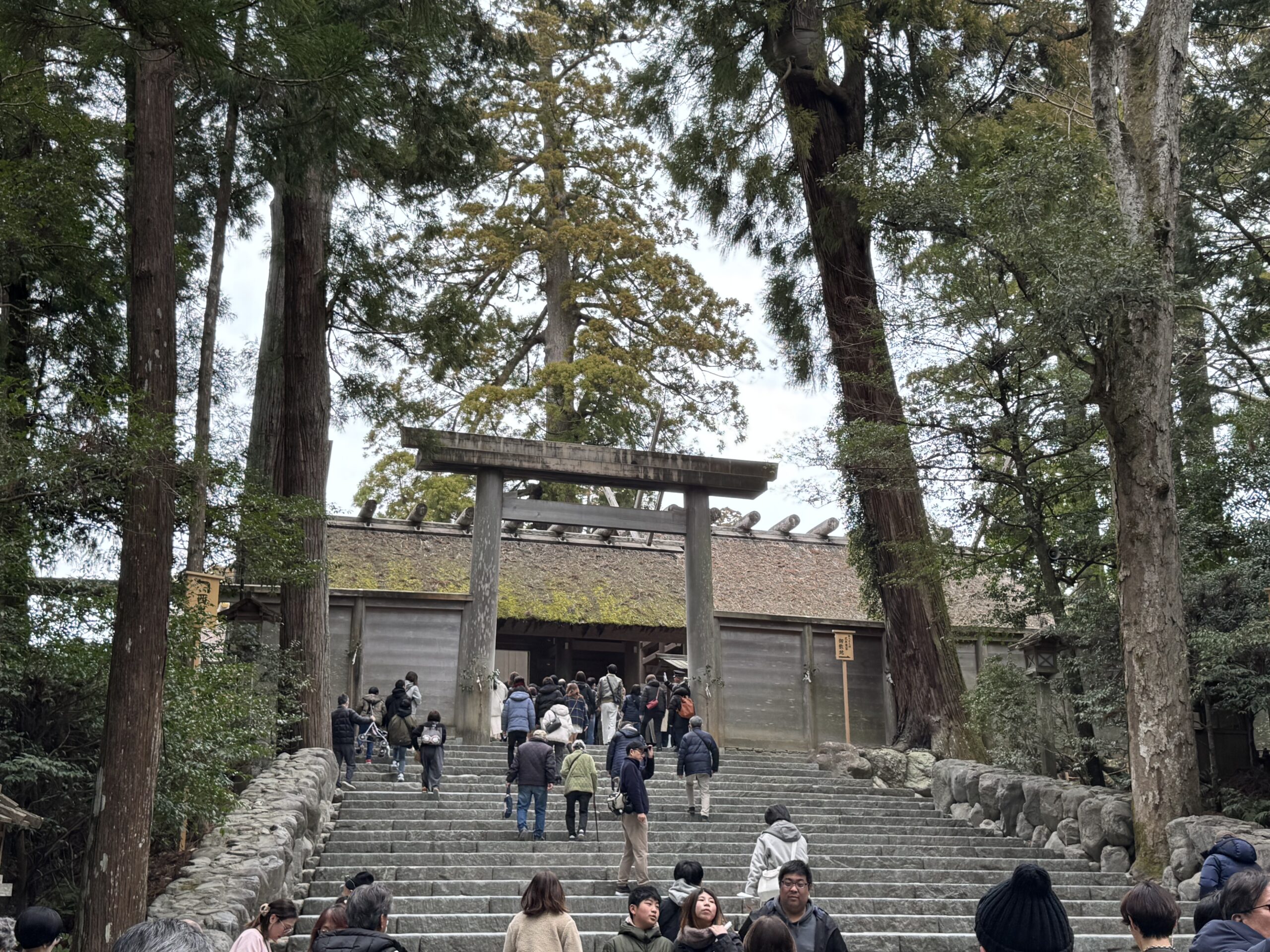 IMG_5623.jpeg IMG 5623