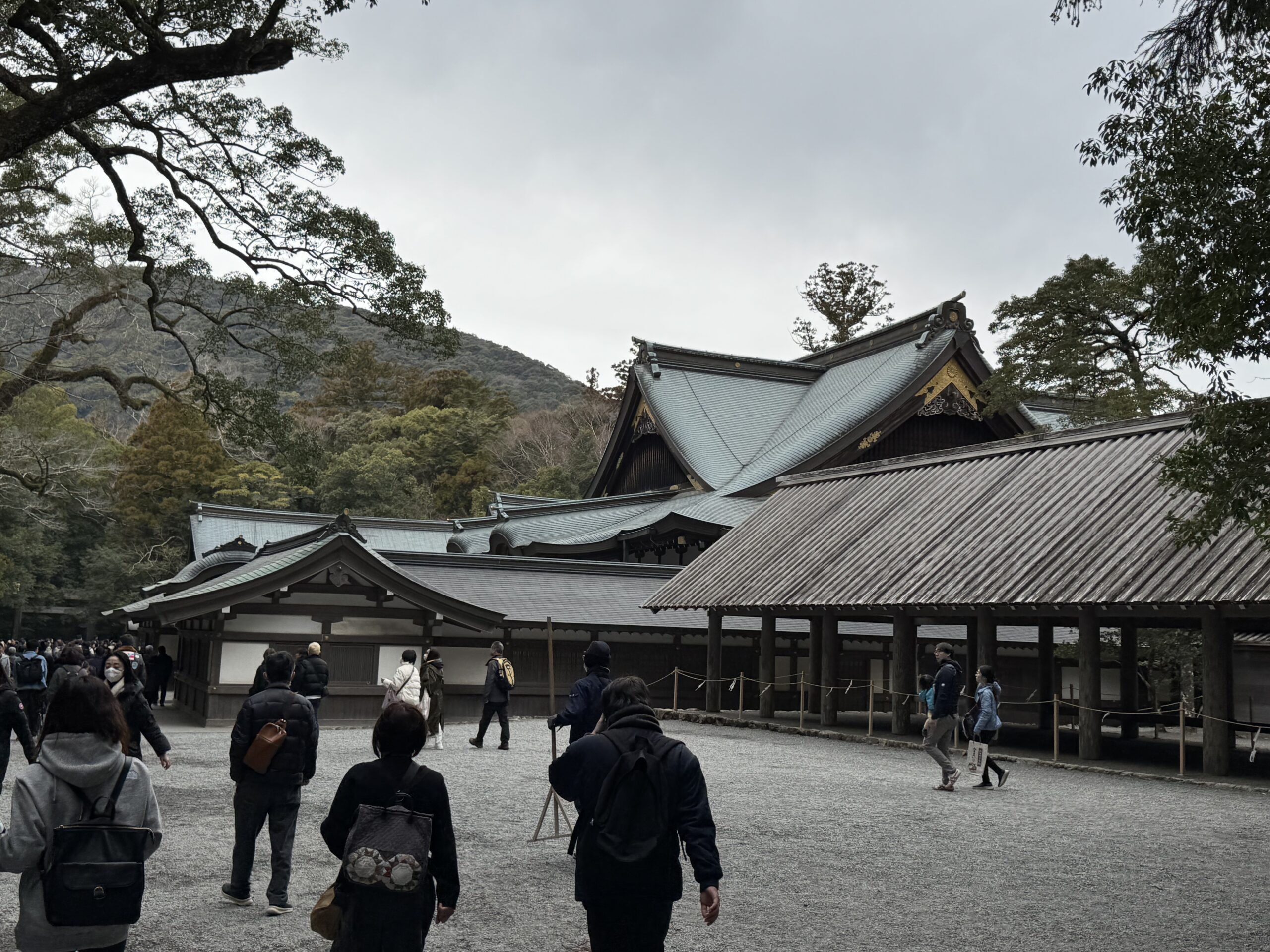 IMG_5625.jpeg IMG 5625