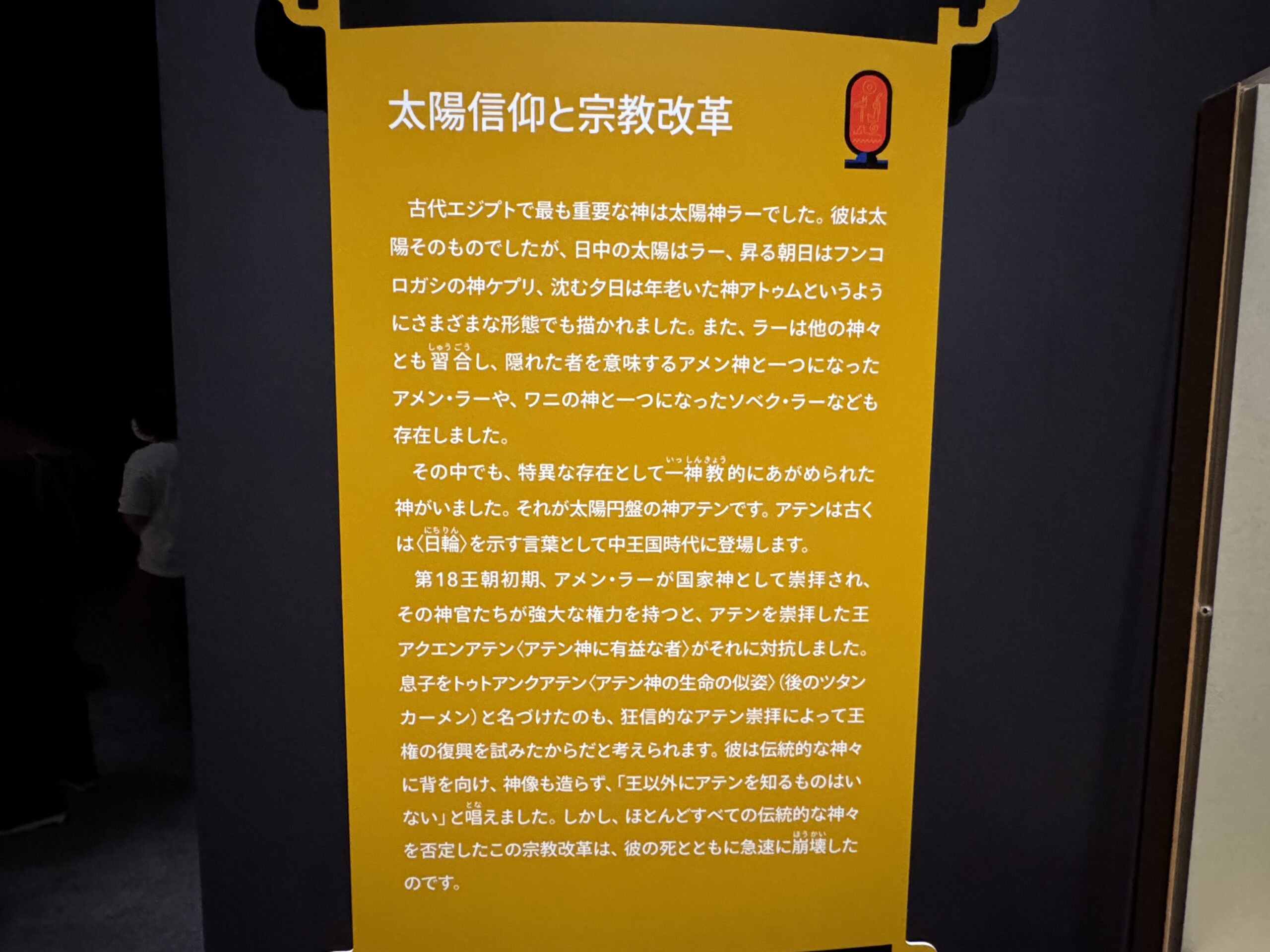 IMG_6901.jpeg IMG 6901