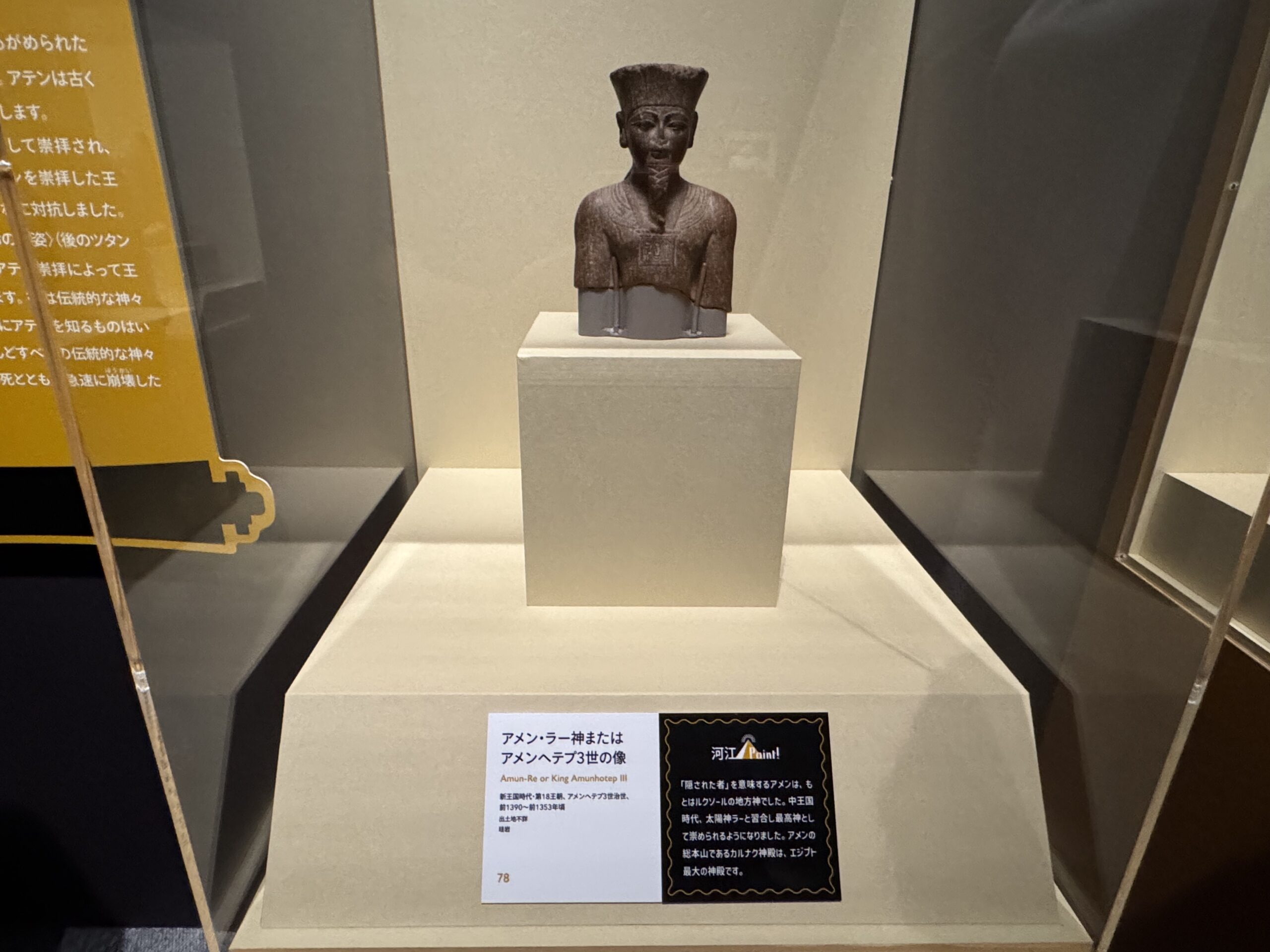 IMG_6902.jpeg IMG 6902