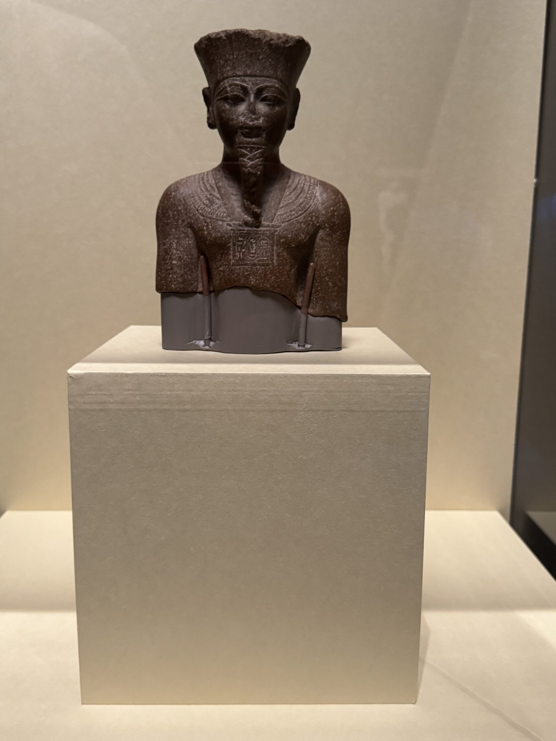 IMG_6903.jpeg IMG 6903