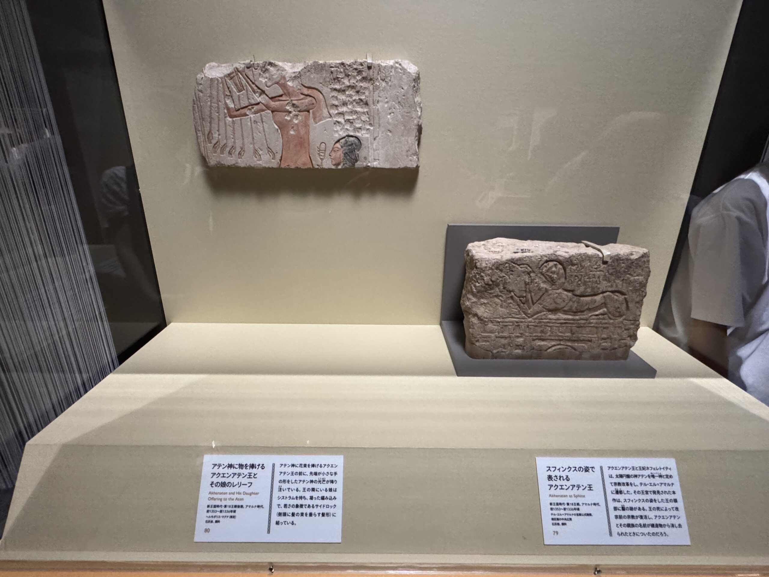 IMG_6905.jpeg IMG 6905