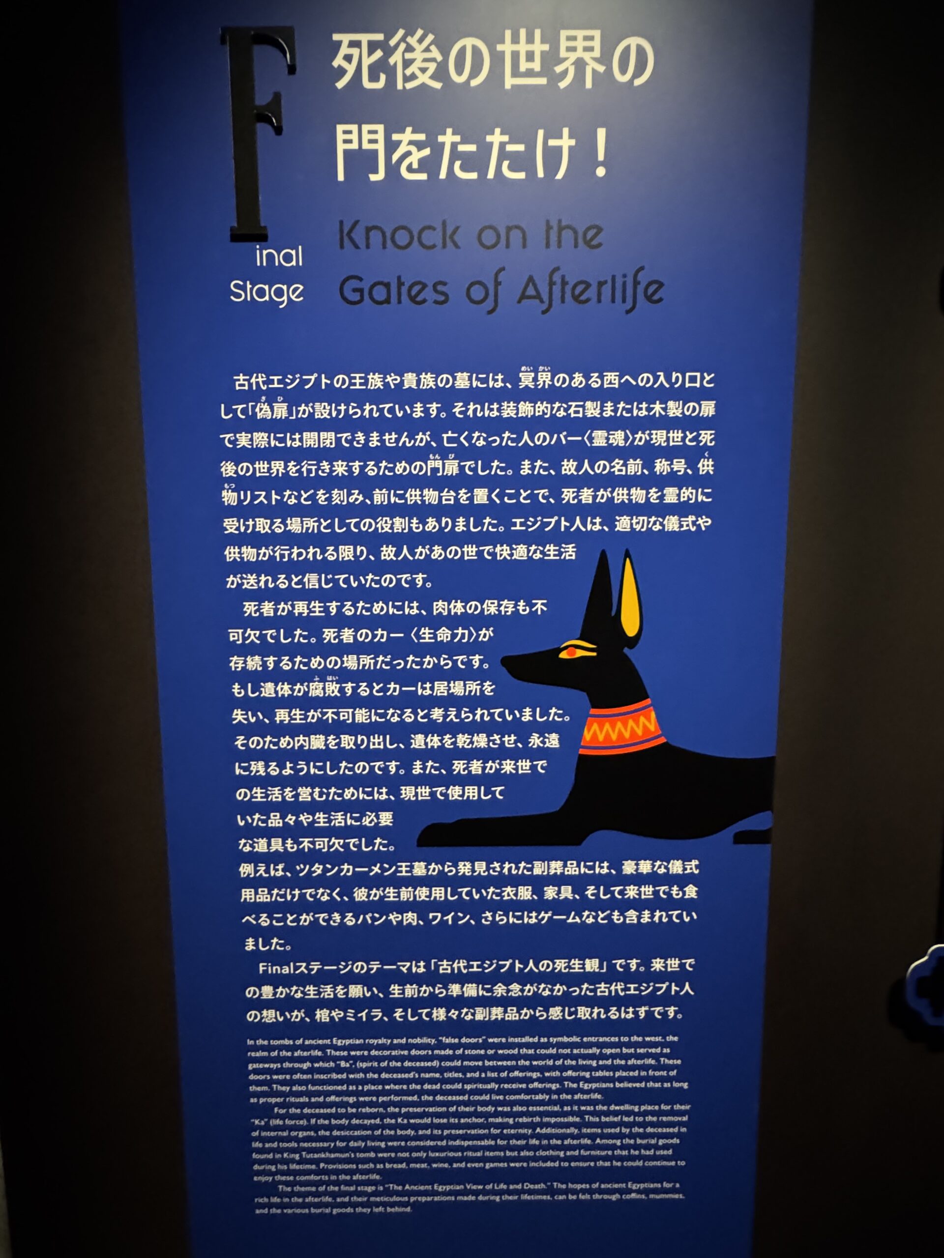 IMG_6907.jpeg IMG 6907