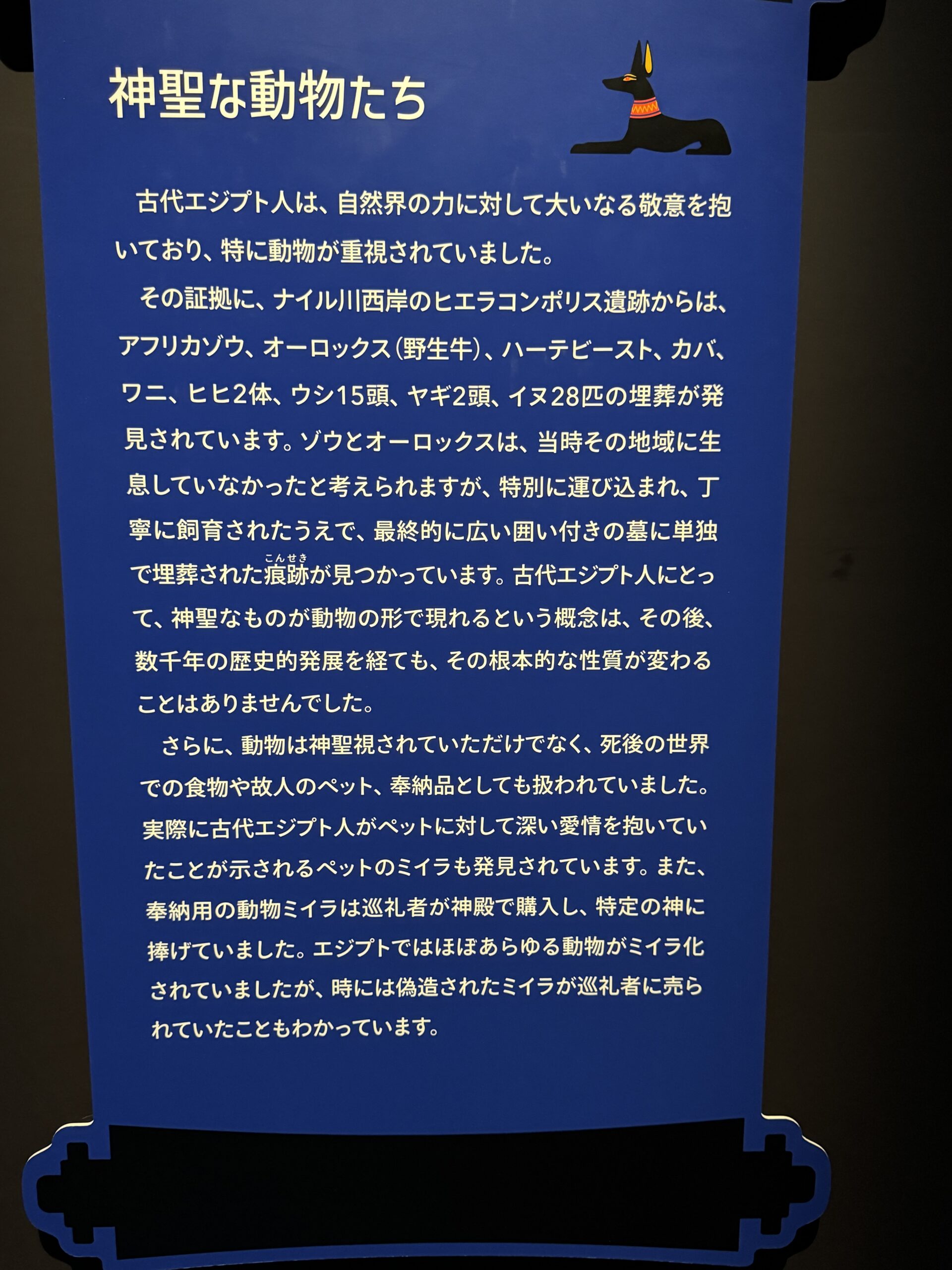 IMG_6908.jpeg IMG 6908