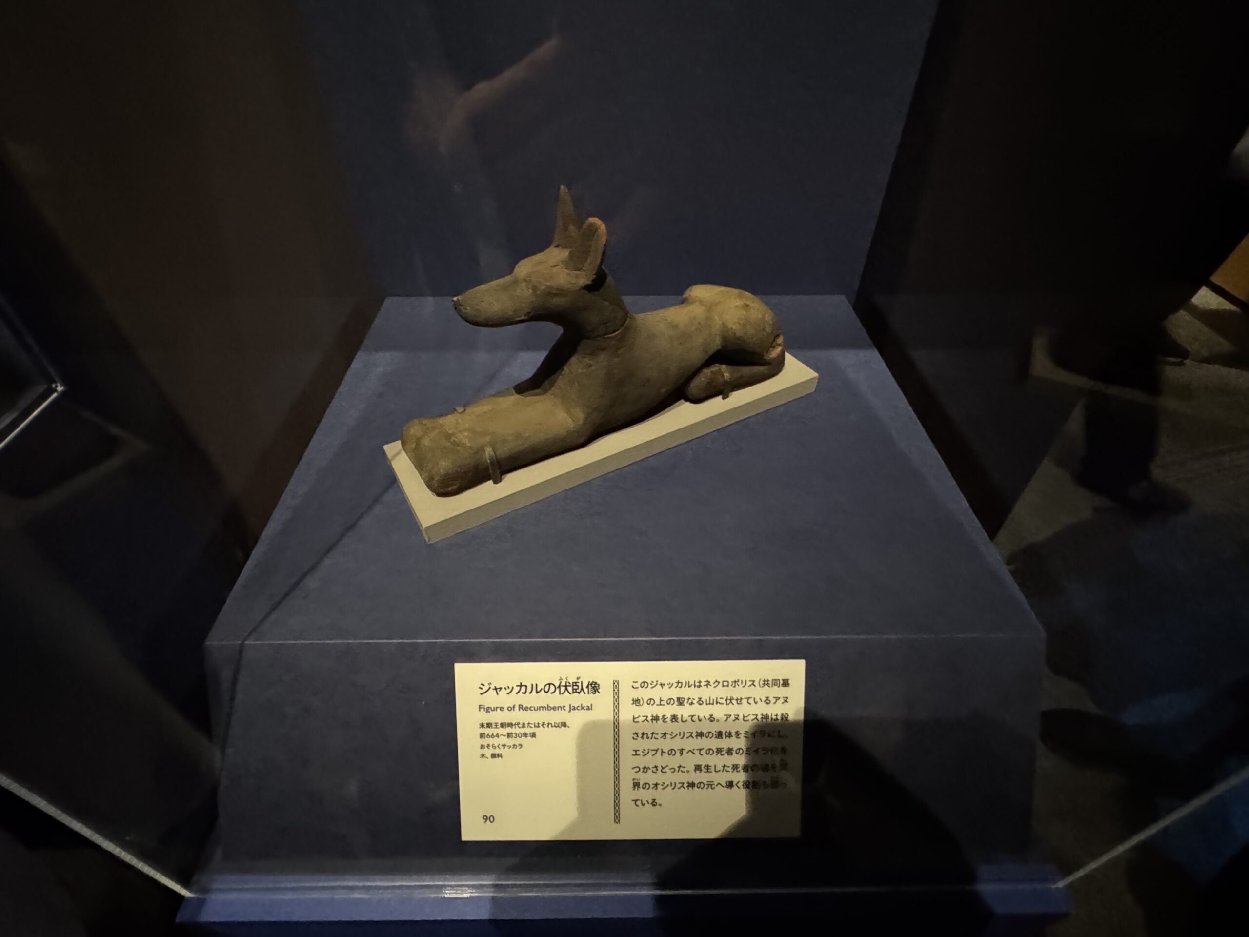 IMG_6913.jpeg IMG 6913