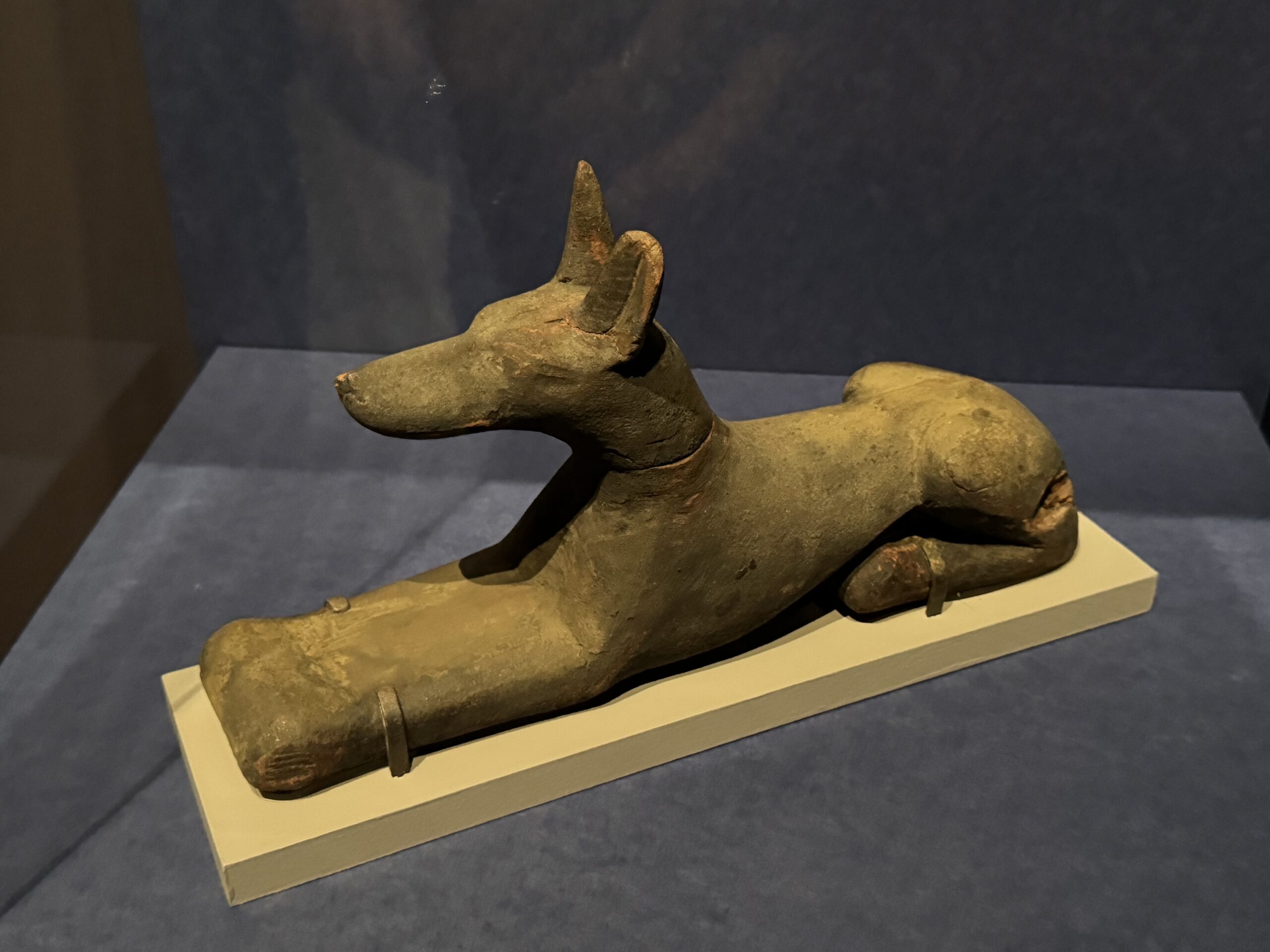 IMG_6914.jpeg IMG 6914