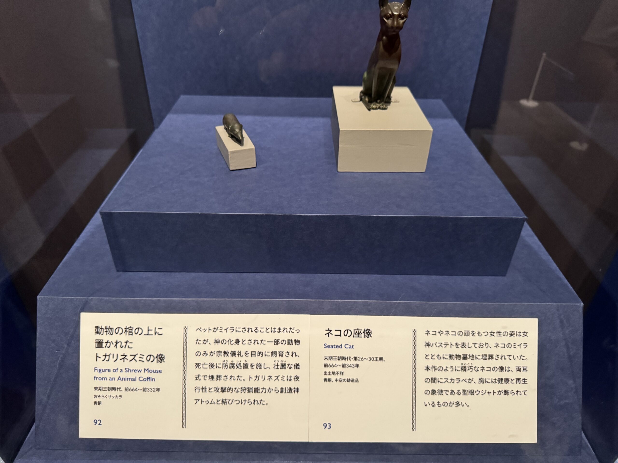 IMG_6915.jpeg IMG 6915