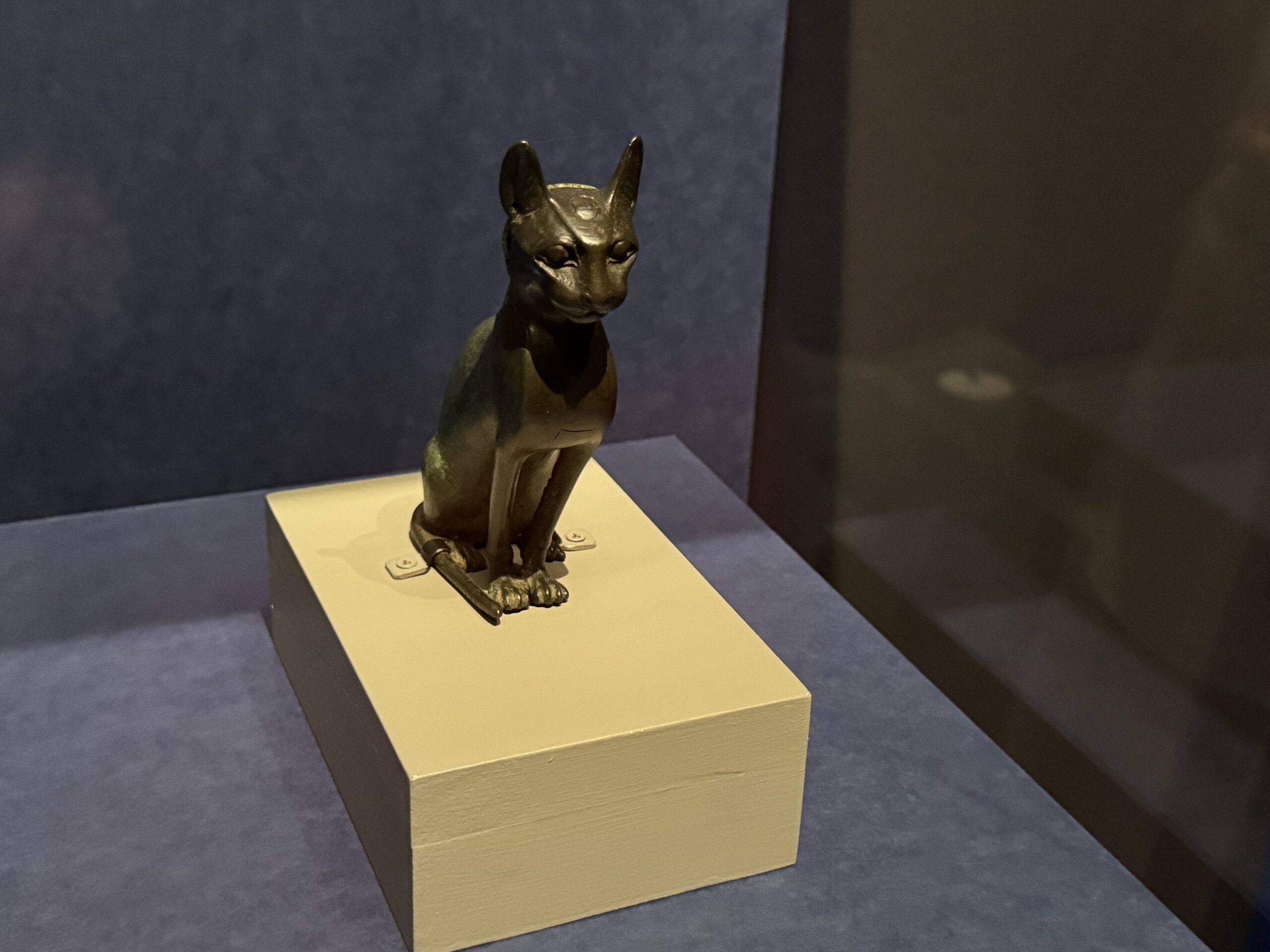 IMG_6916.jpeg IMG 6916