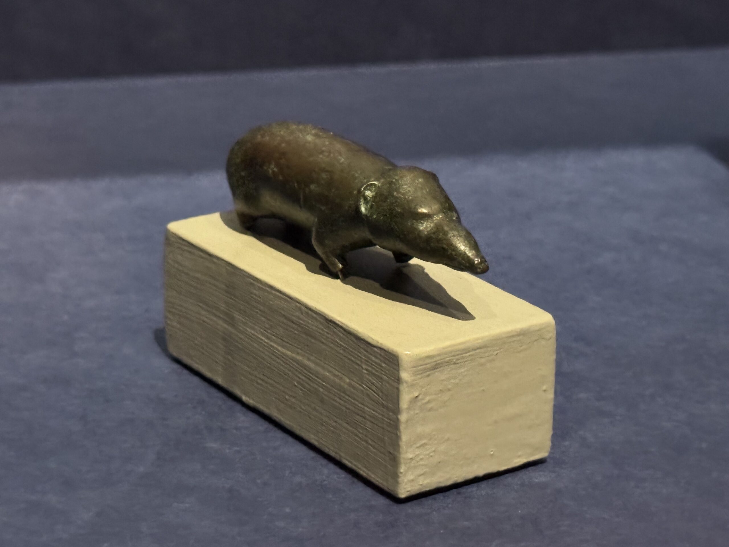 IMG_6918.jpeg IMG 6918