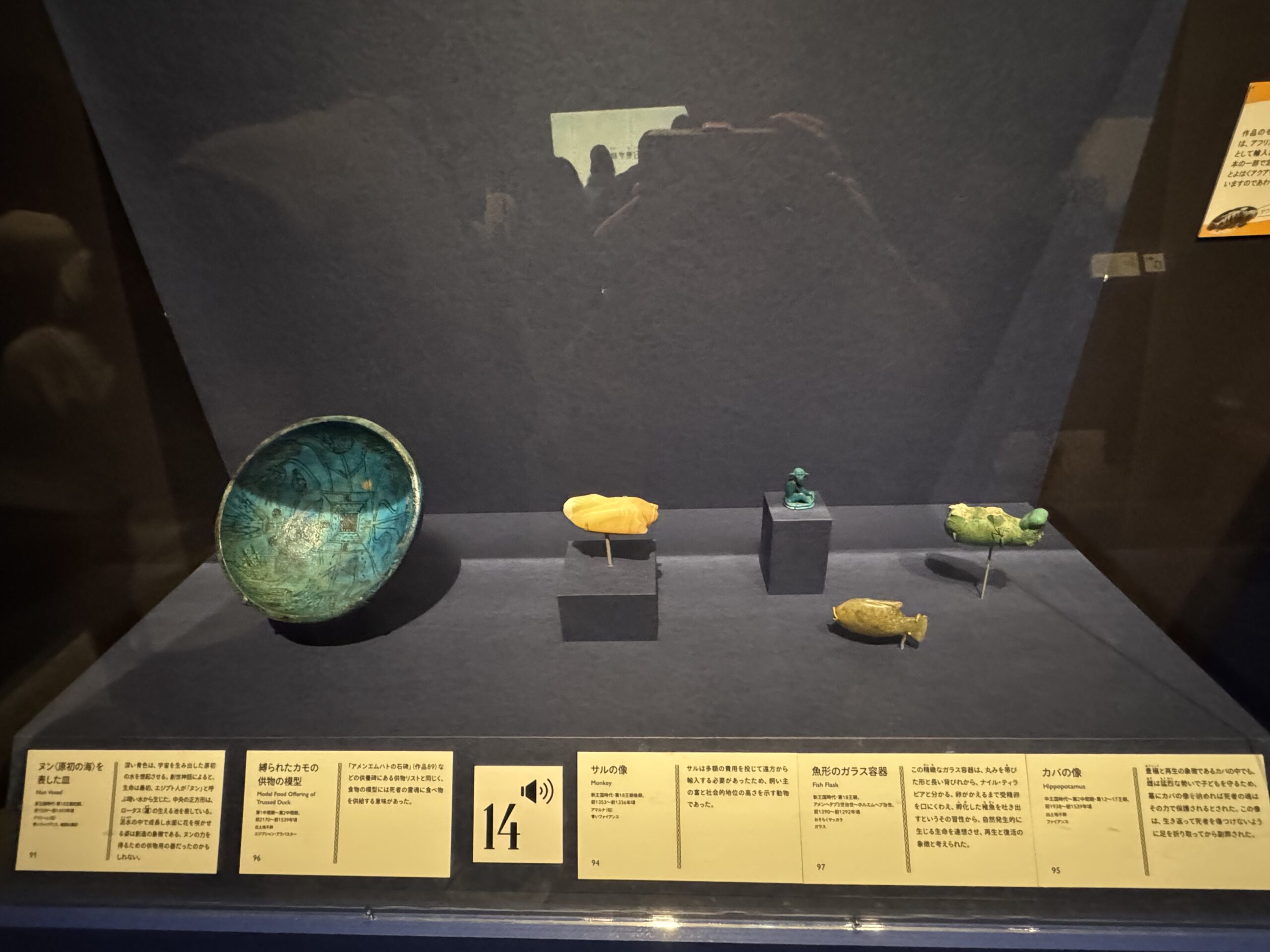 IMG_6919.jpeg IMG 6919