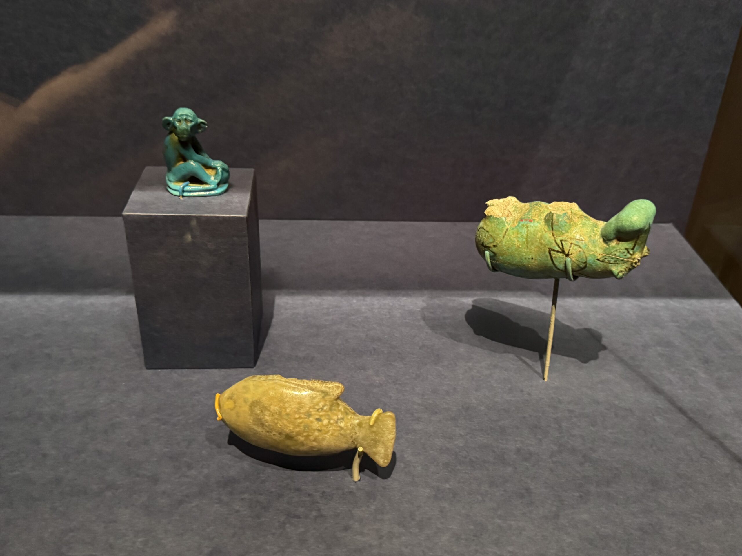 IMG_6920.jpeg IMG 6920