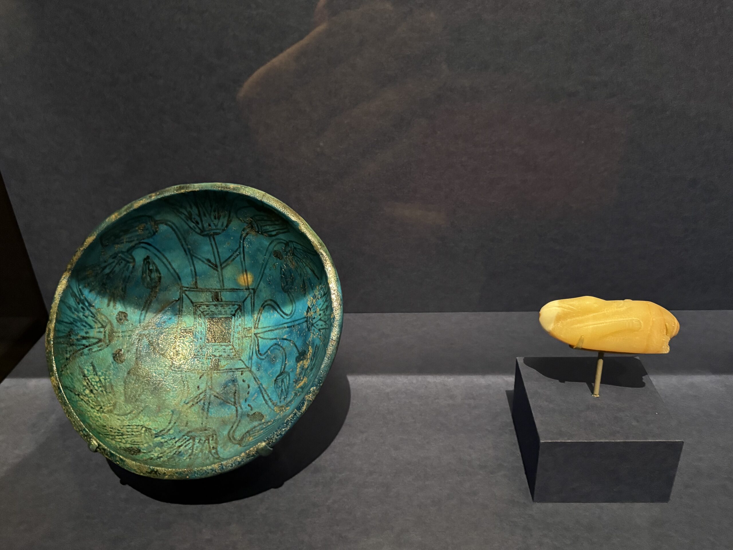 IMG_6921.jpeg IMG 6921