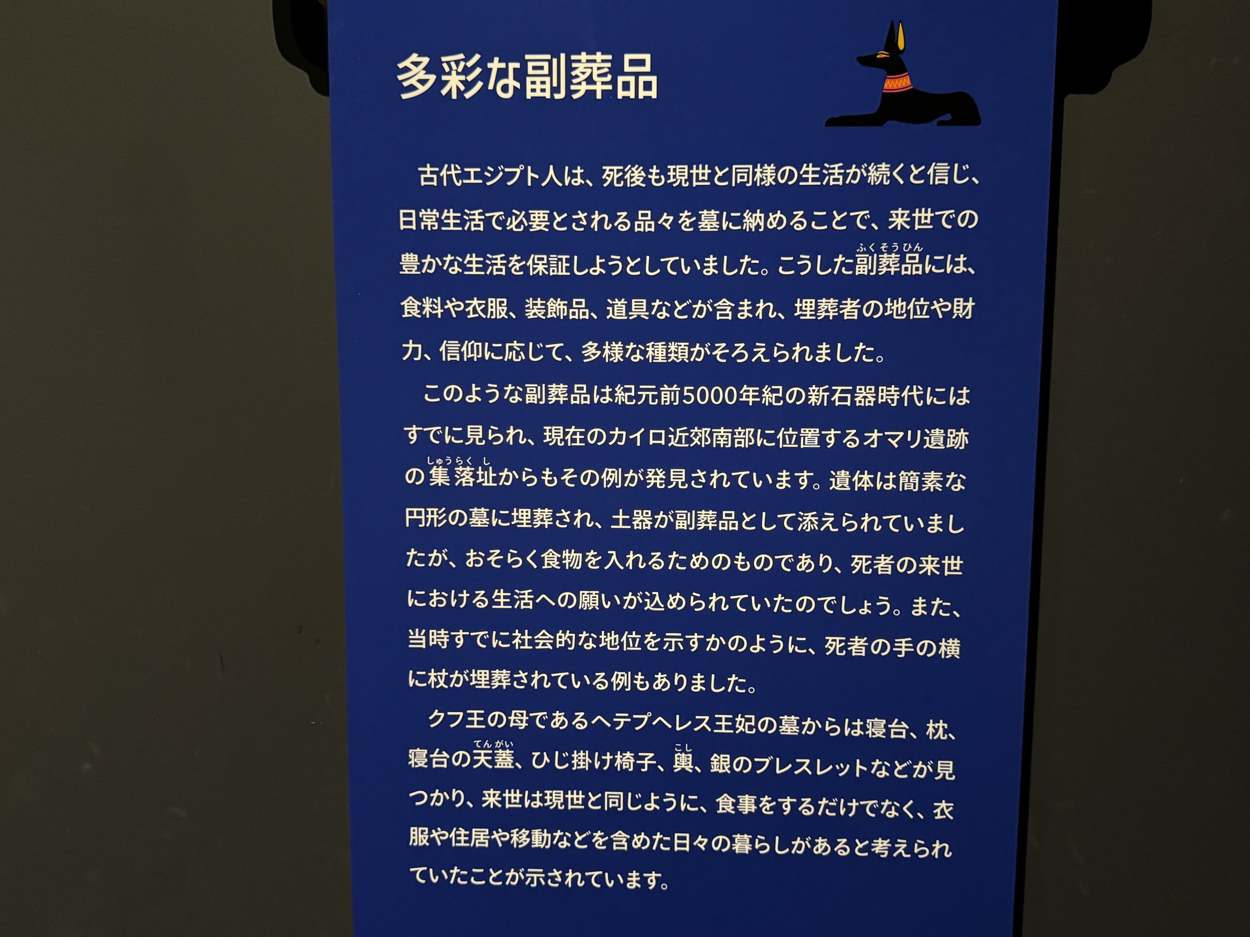 IMG_6923.jpeg IMG 6923