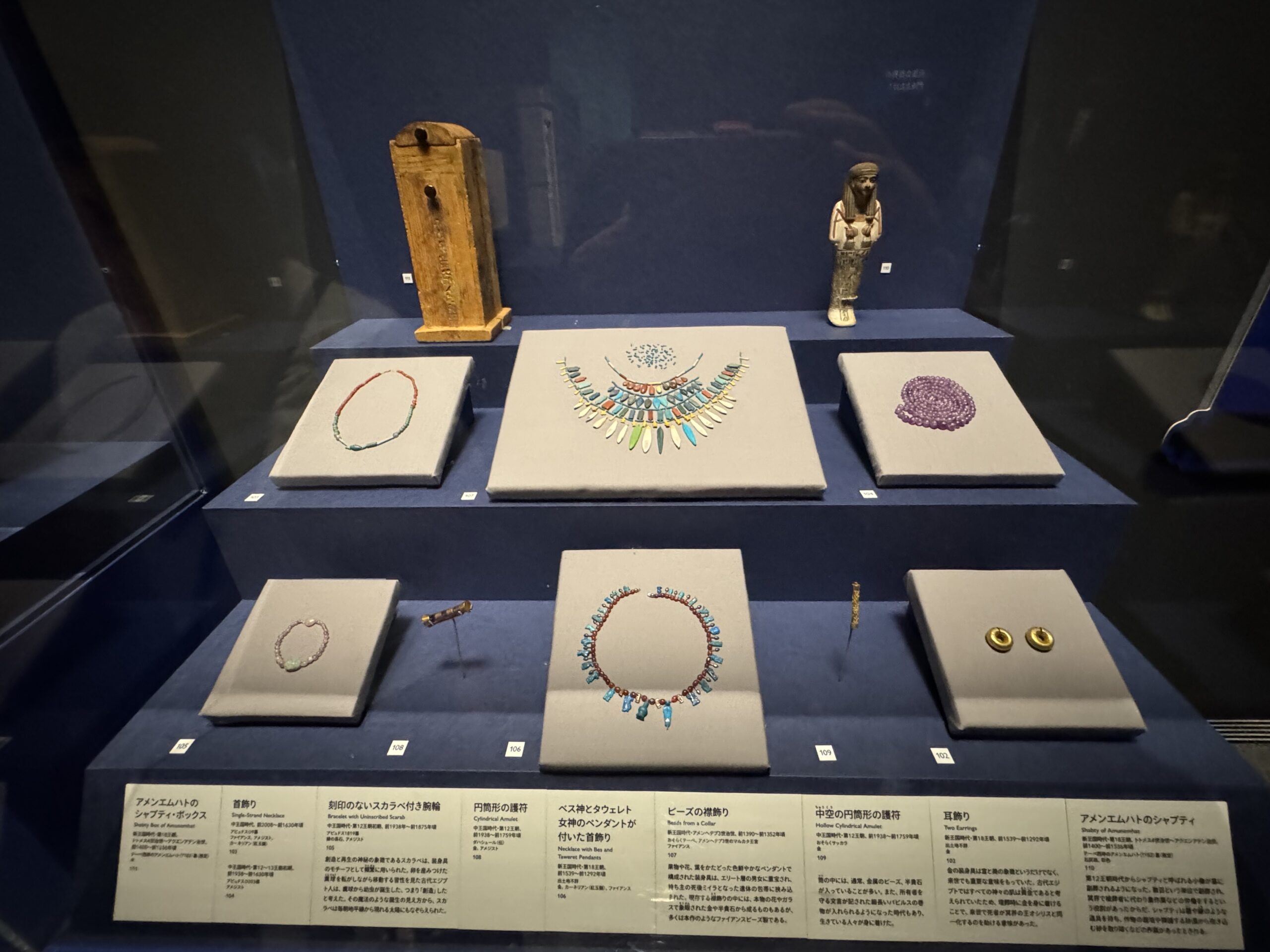 IMG_6924.jpeg IMG 6924