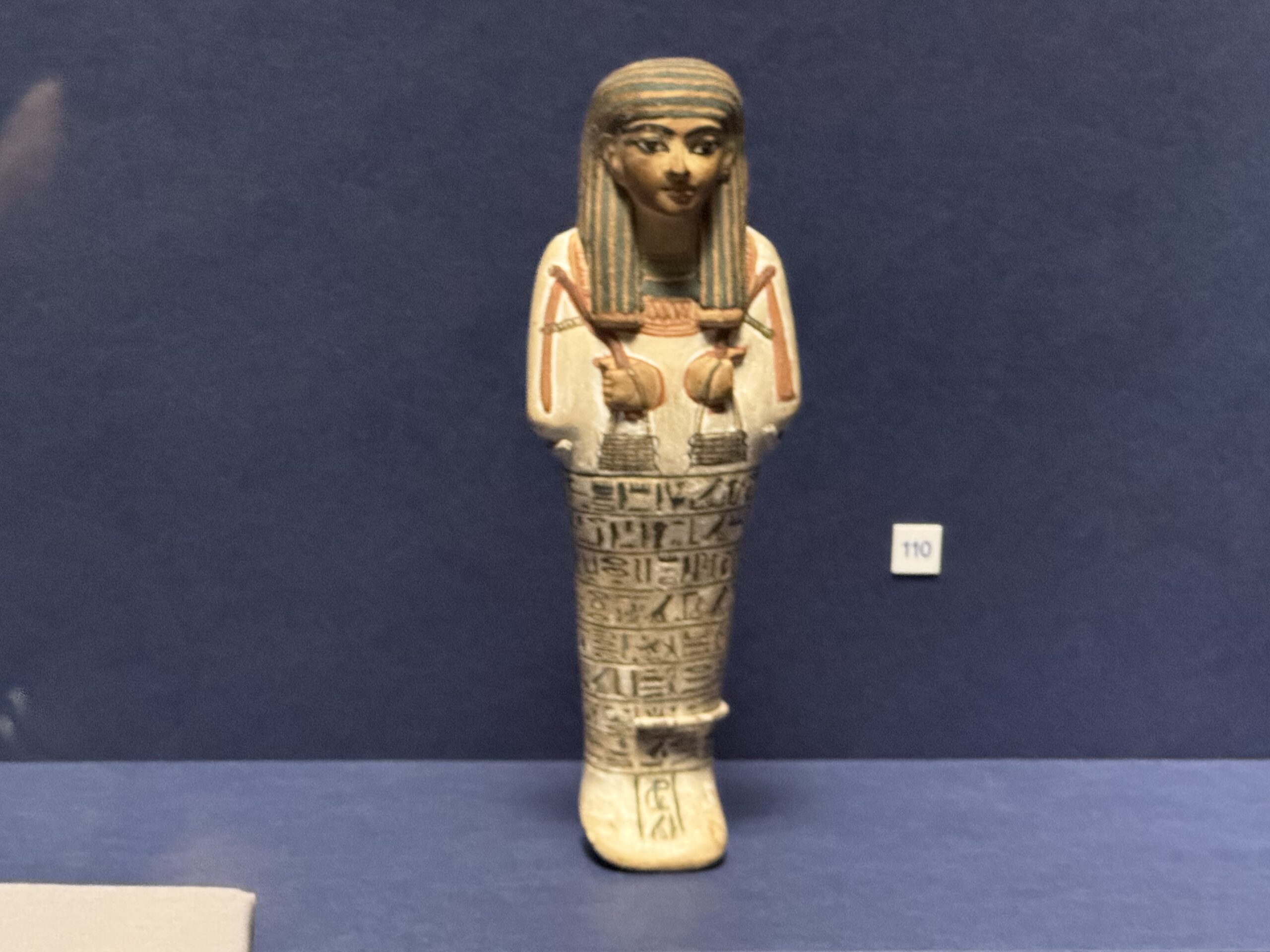 IMG_6925.jpeg IMG 6925